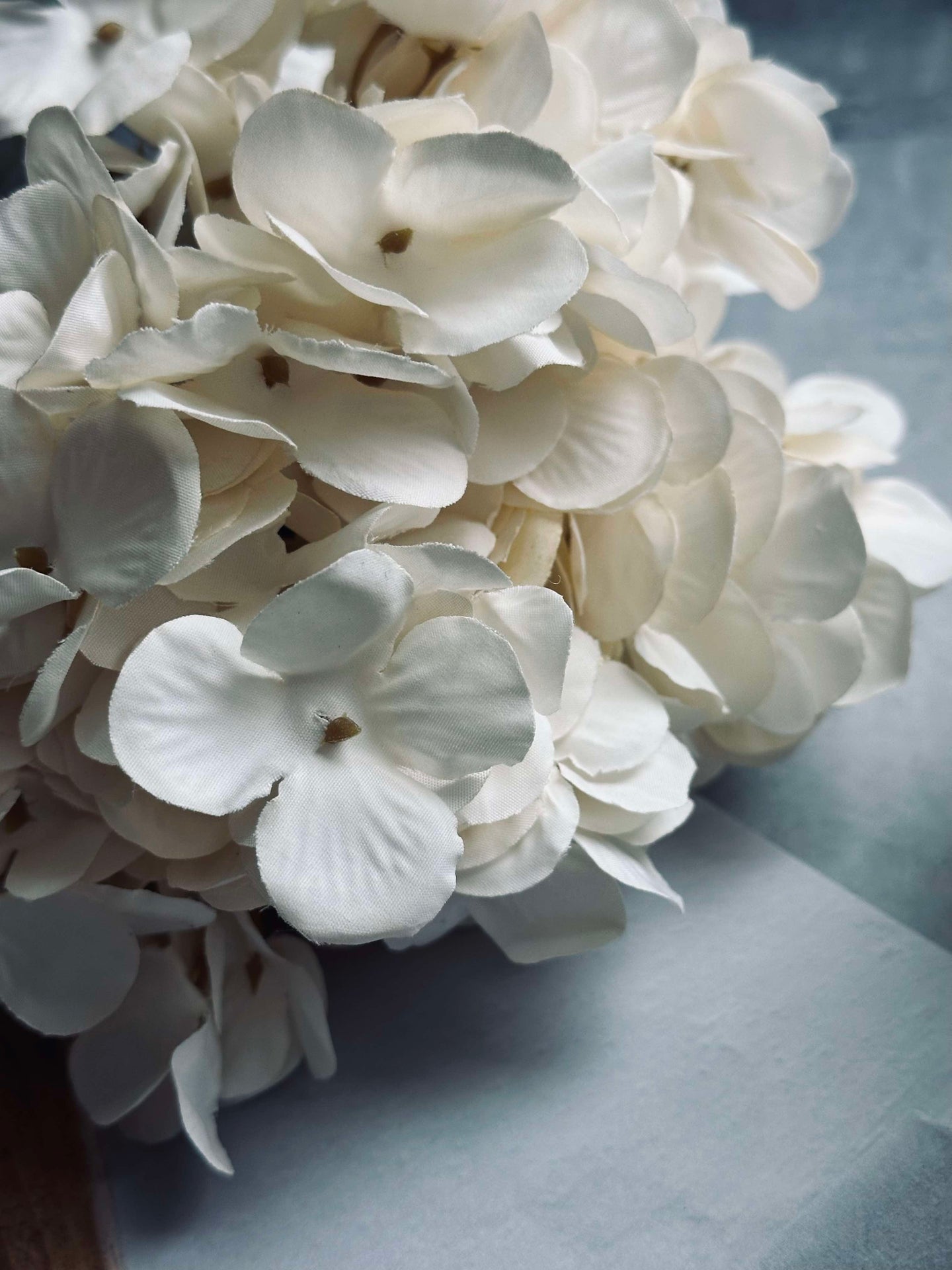 Blume Seide Hortensie Weiß