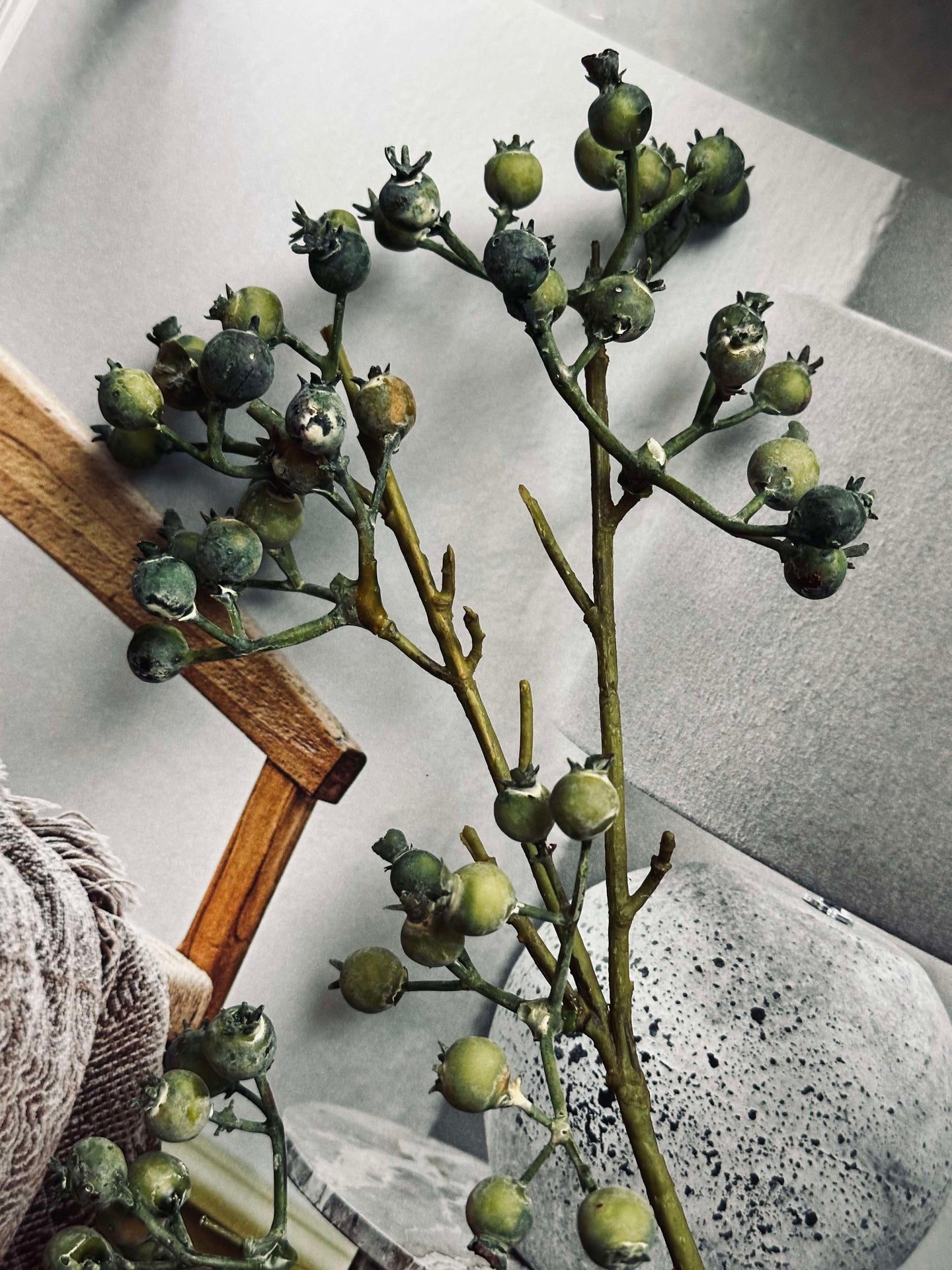Blume Mariebær