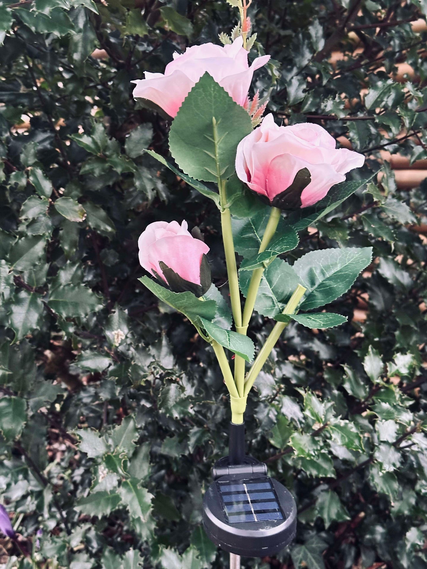 Rose mit Solarzellen - Rosa