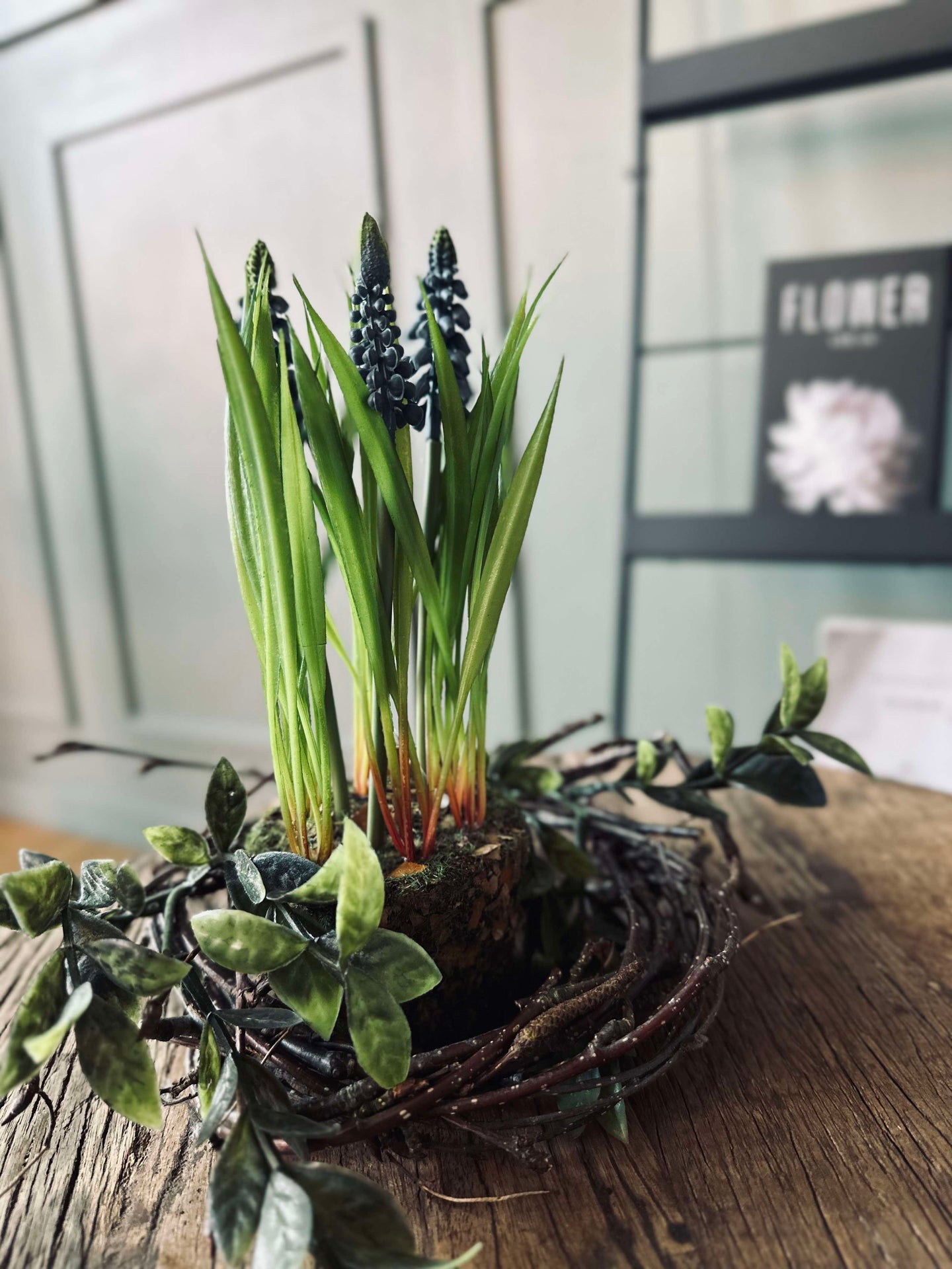 Blume Perlenhyazinthe