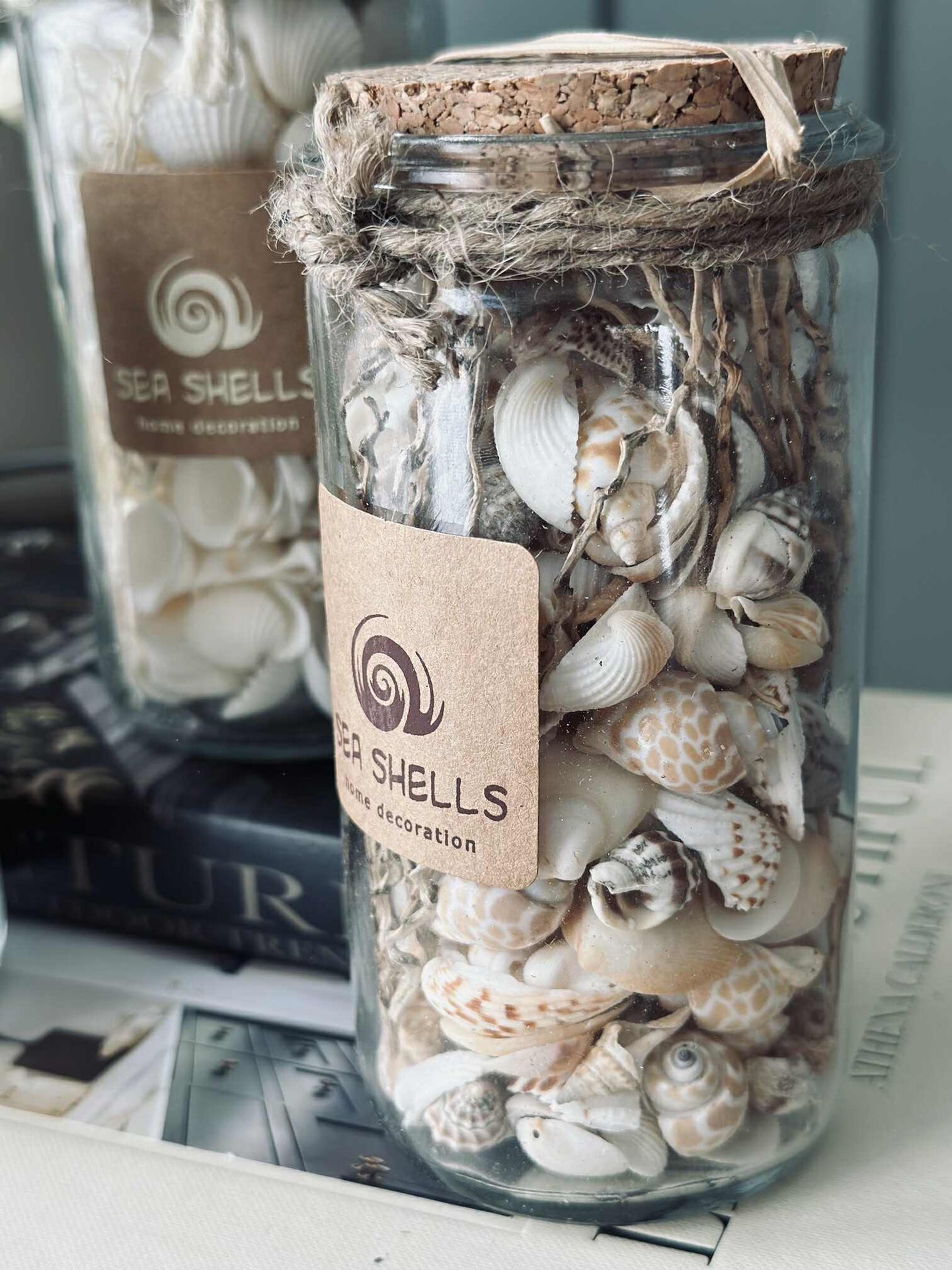 Strandmuscheln im Glas - MIX