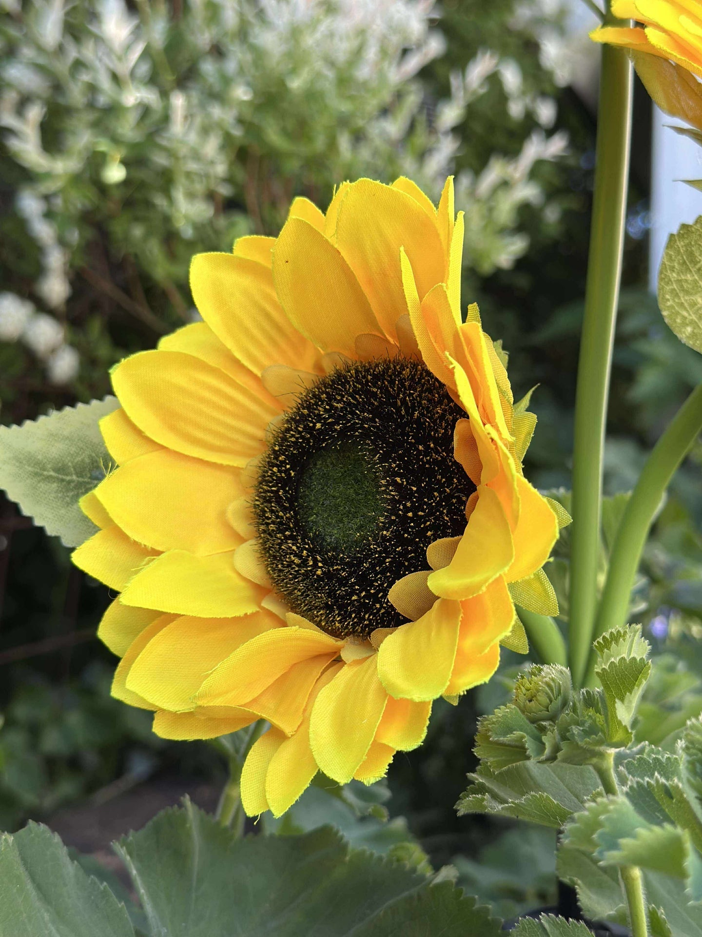 Sonnenblume mit Solarzellen