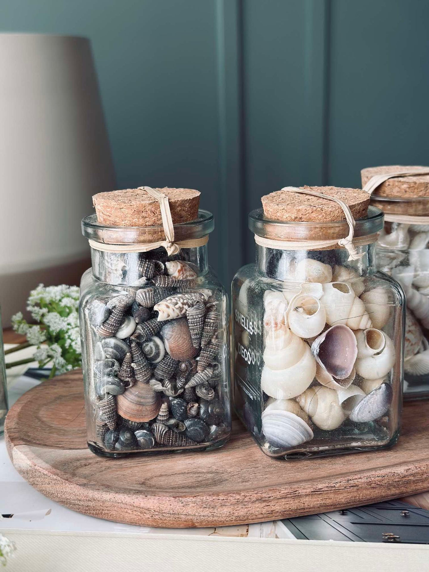 Muscheln aus Glas - Mix