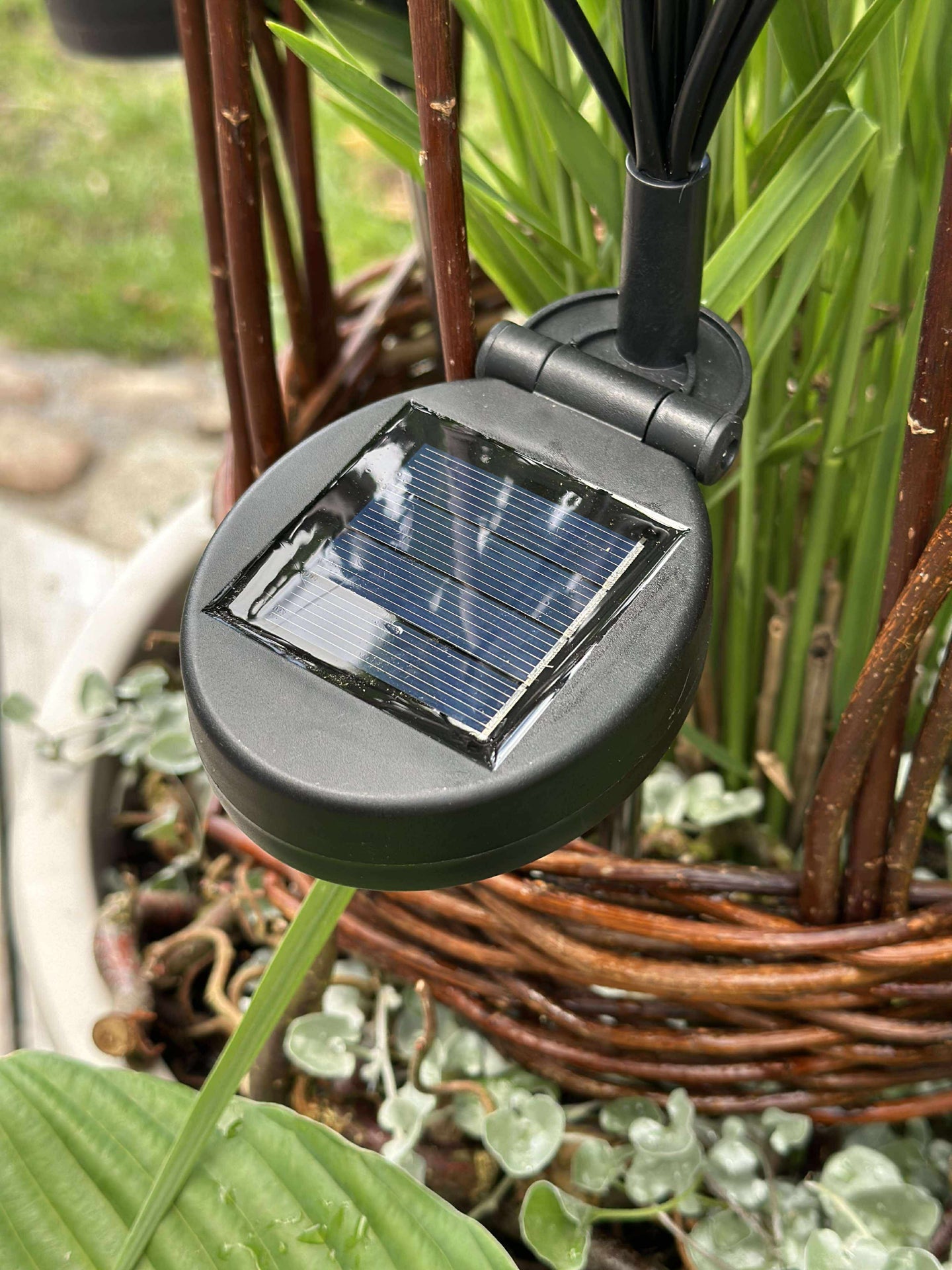 Glühwürmchen auf Spießen mit Solarzellen – Set mit 3 Spießen