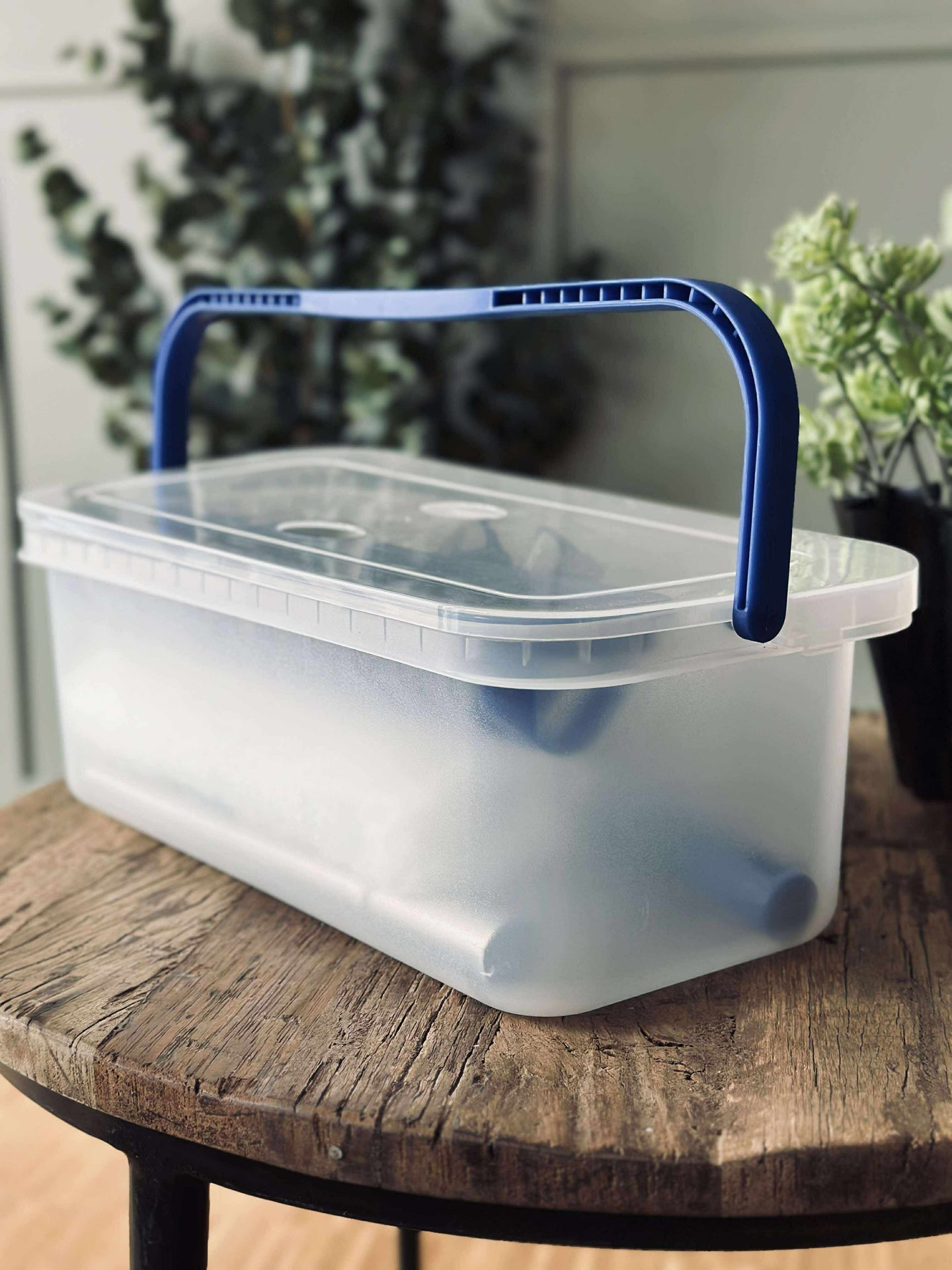 Fensterreinigungsset mit Aufbewahrungsbox