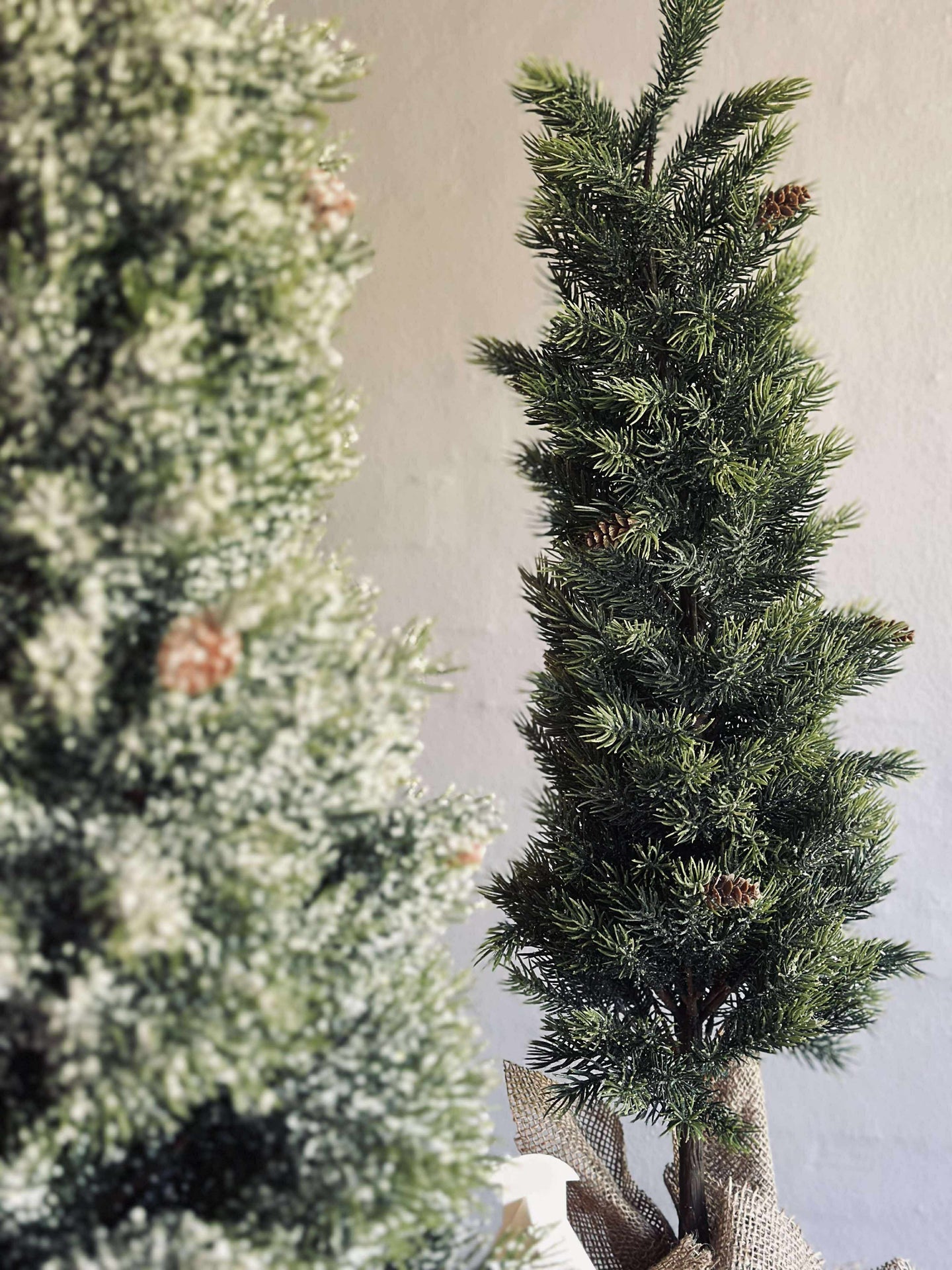 Pinetree MIX - 80 cm