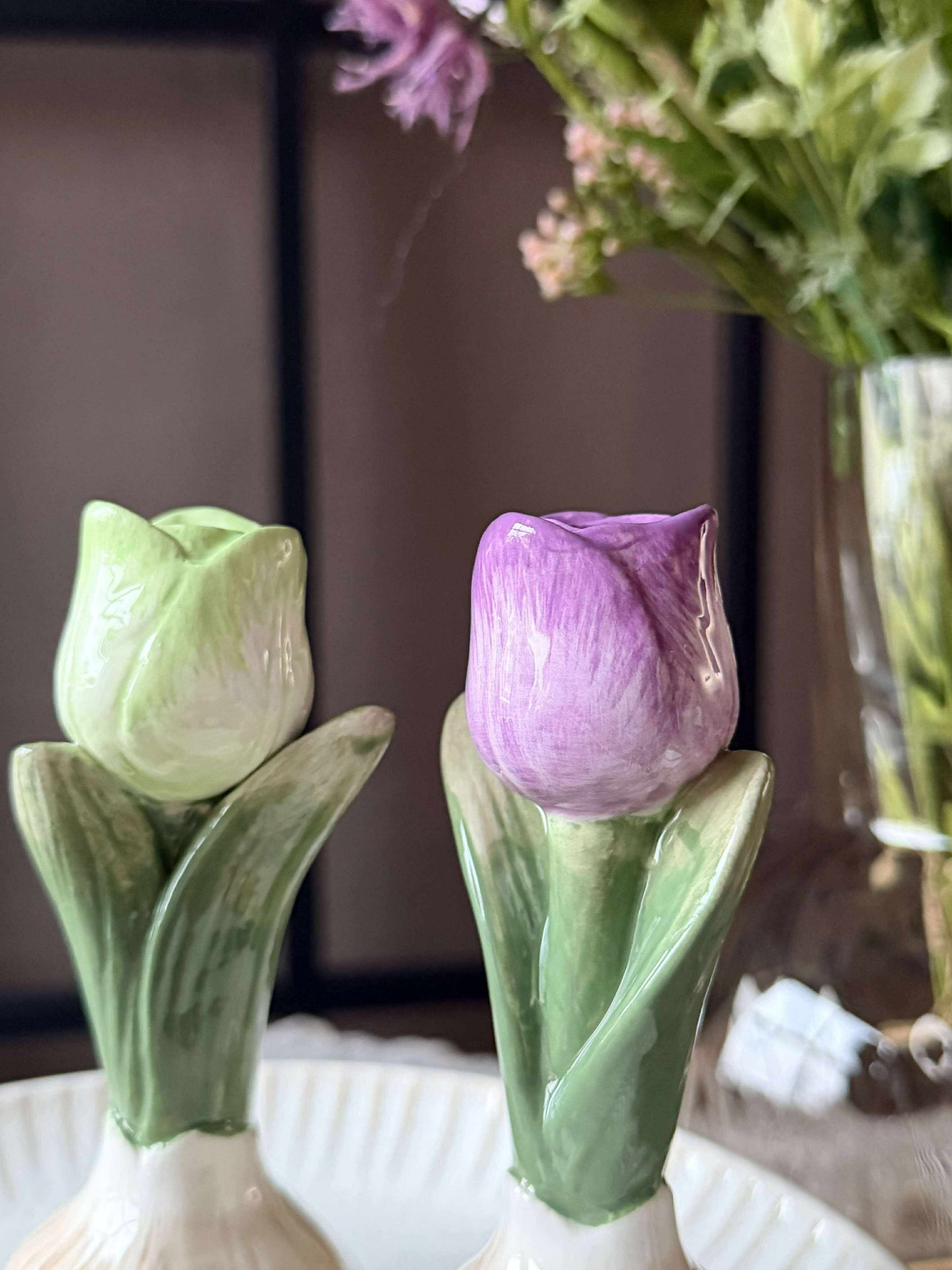 Tulpenzwiebel - 3 Farben