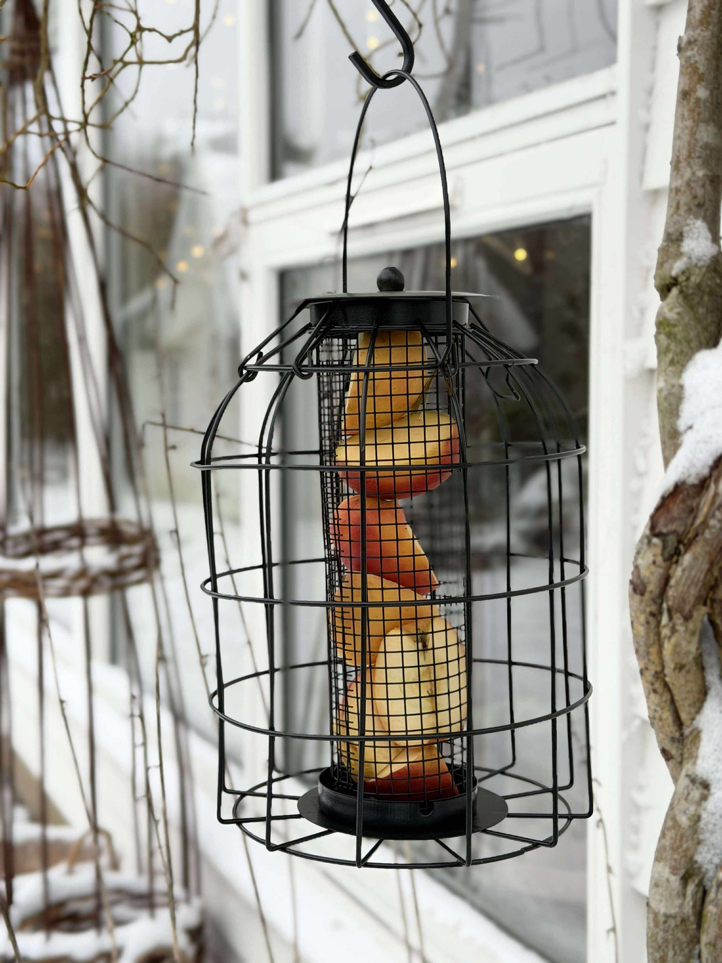 Aufhängung für Vogelfutter