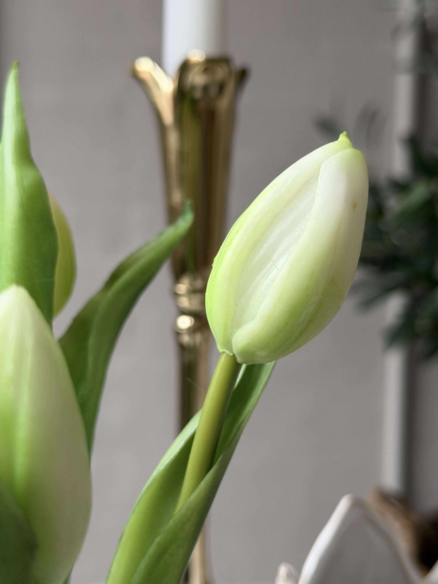 Tulpe im Topf - Weiß