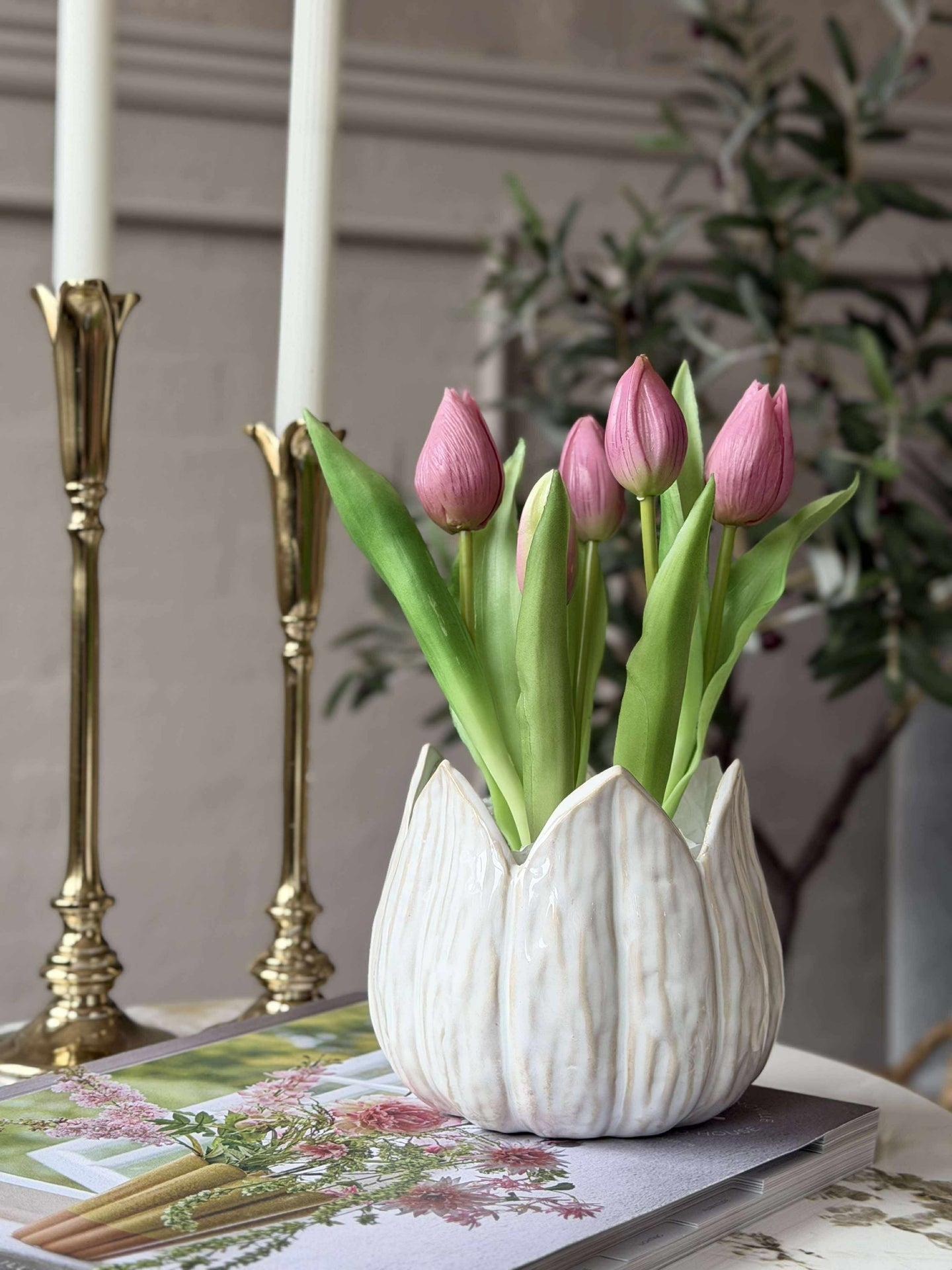tulpe topfpflanze Tulpe im Topf