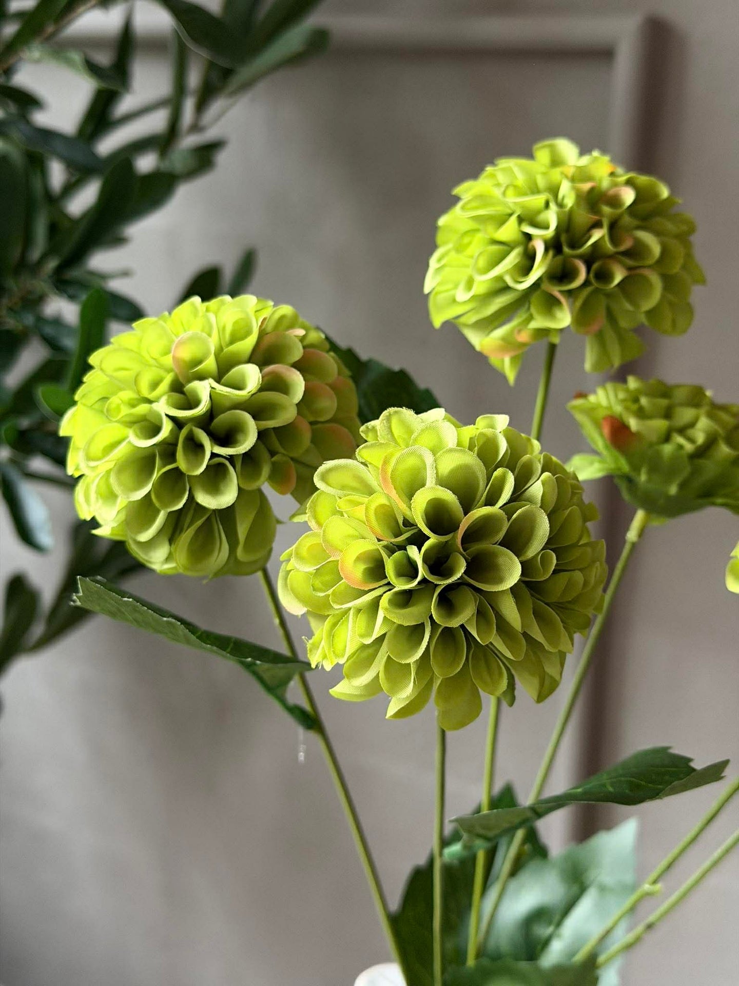 Blumenstiel mit mehreren Blüten - Lime