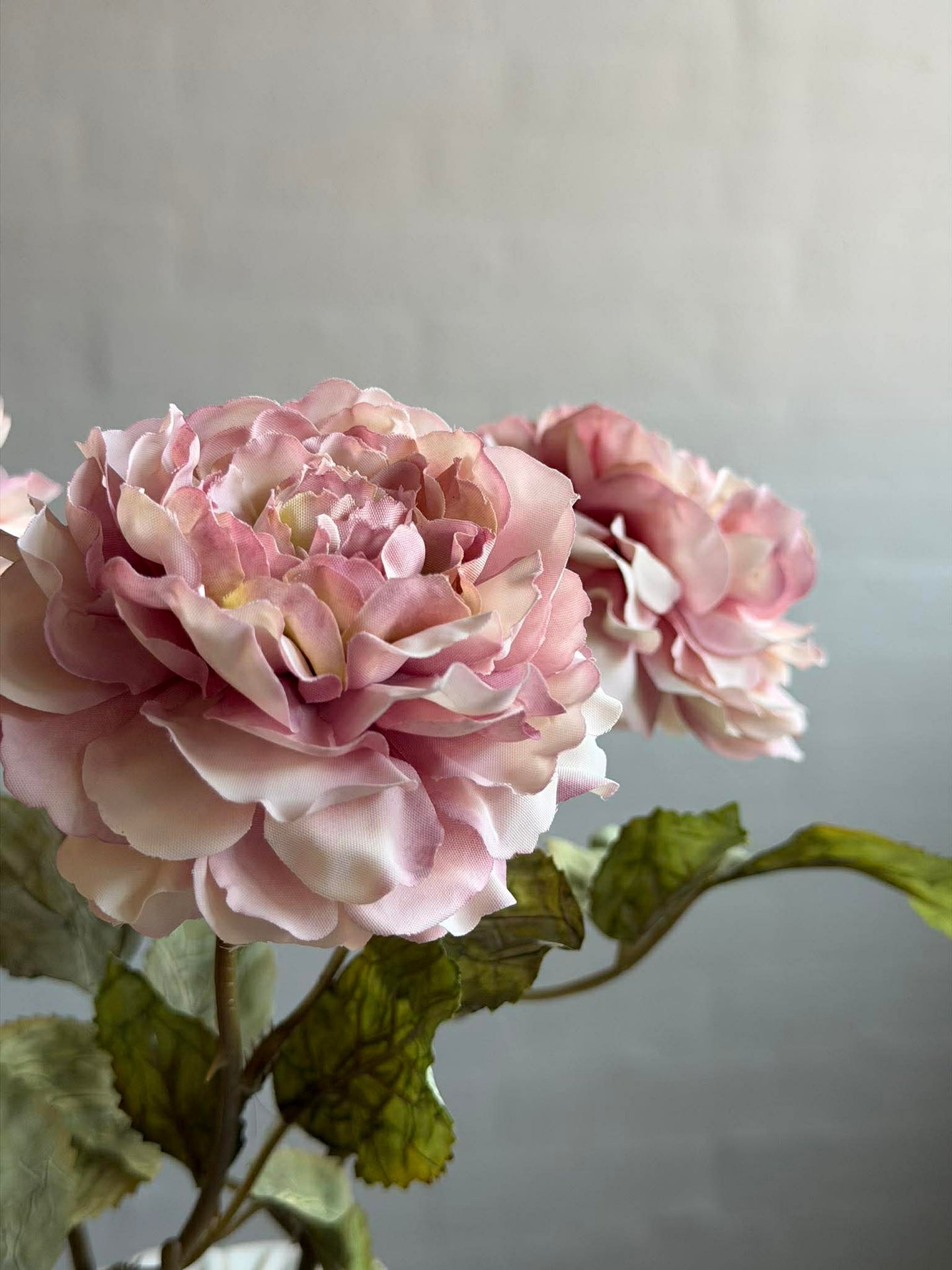 Rose 38 cm – Dusty Pink