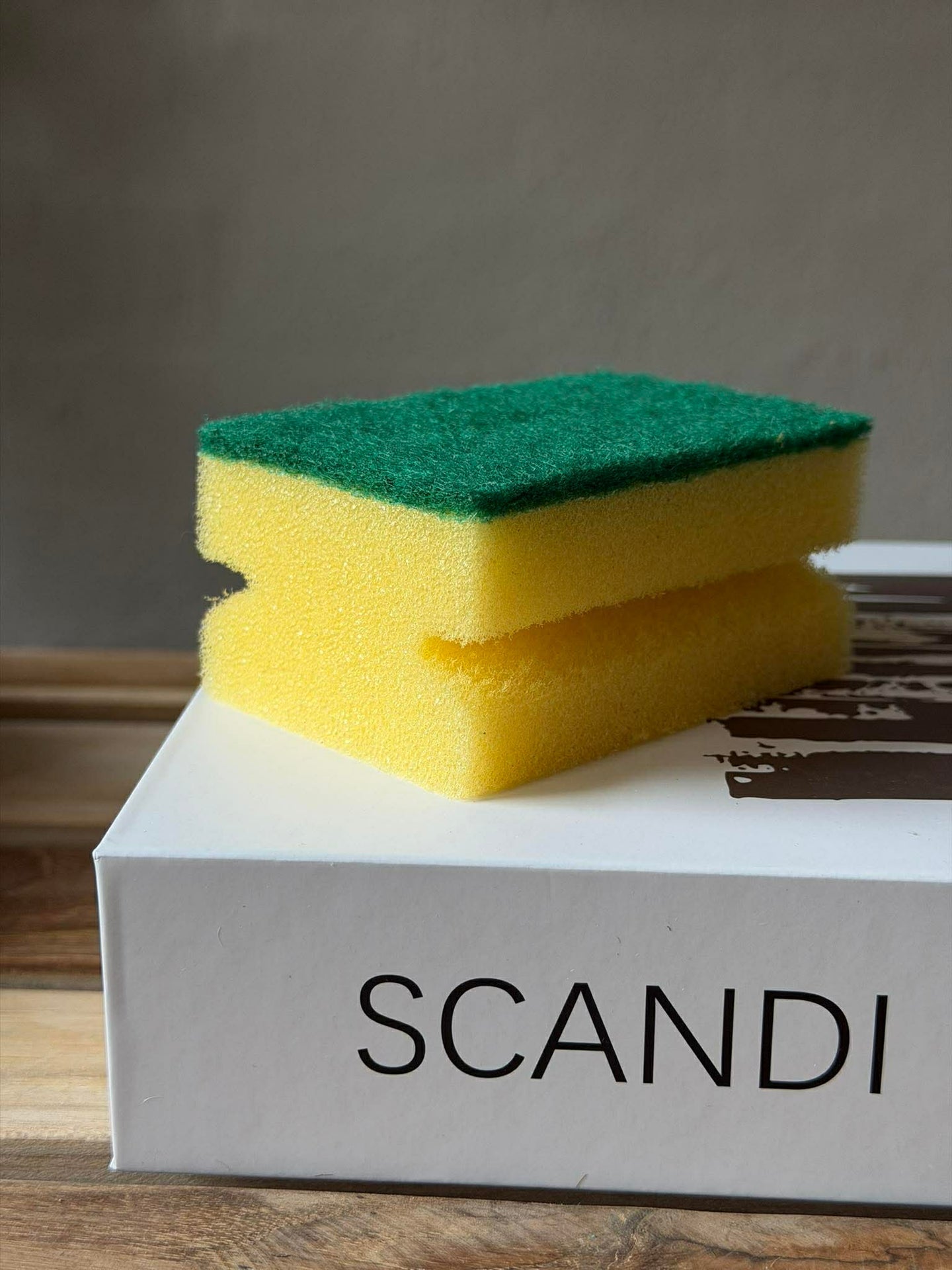 Scheuerschwämme - Set mit 10 Stück.