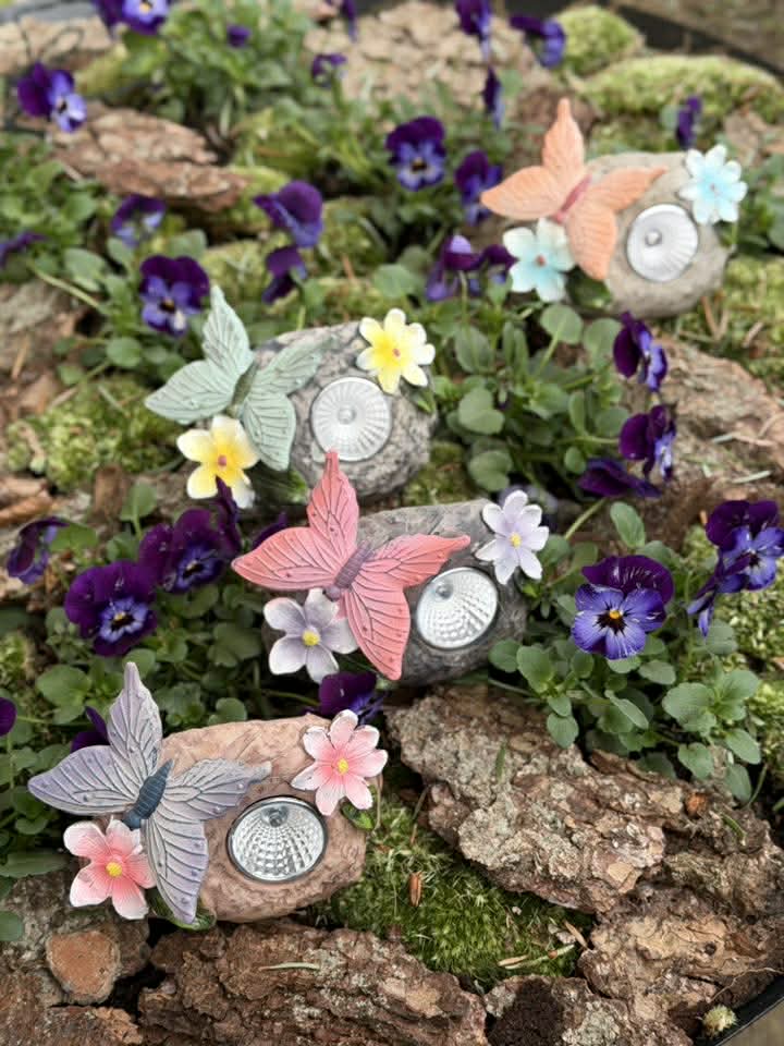 Solarstein mit Schmetterling - COLOR MIX