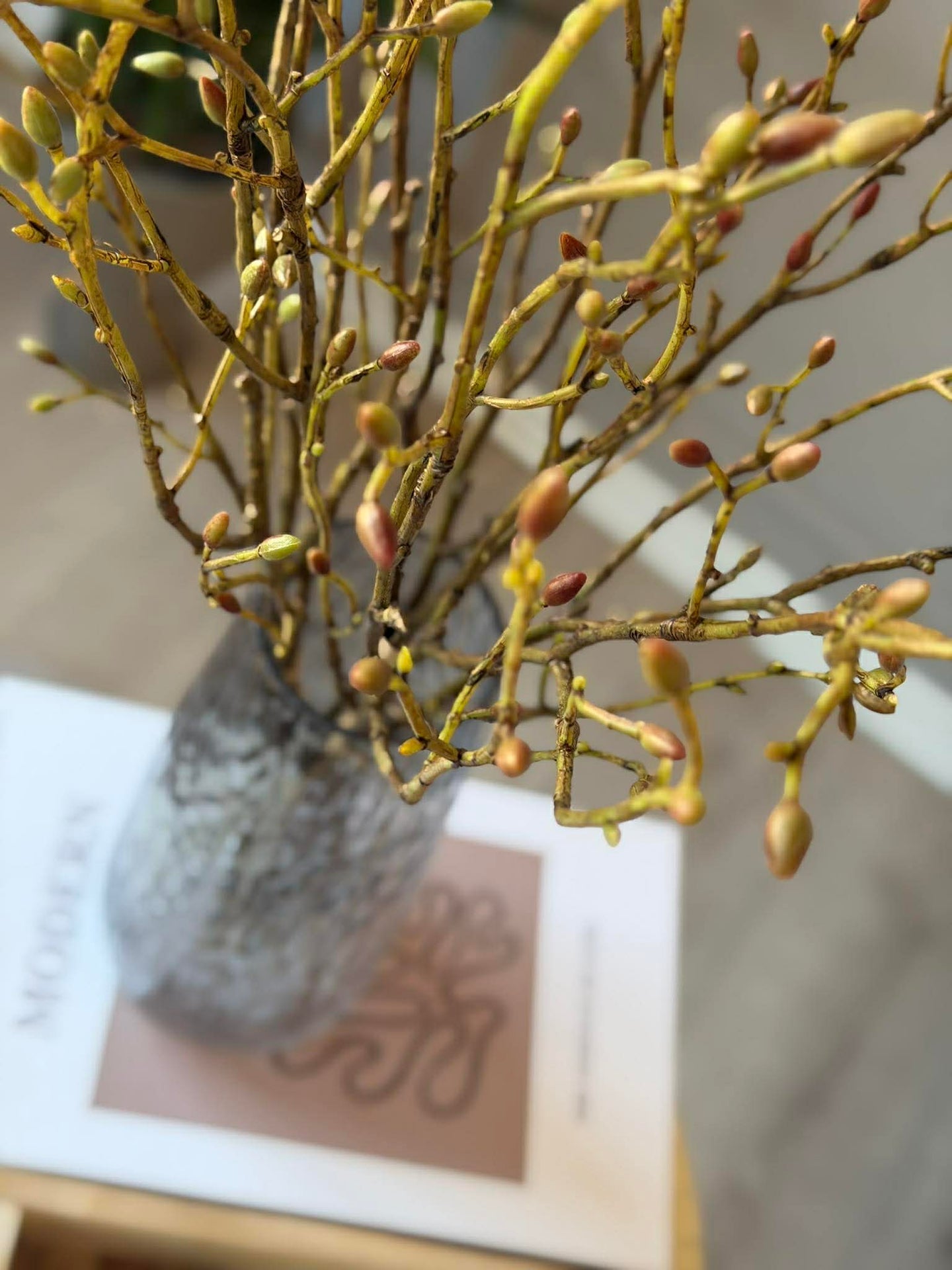 Zweig mit Knospen - Bund mit 3 Zweigen