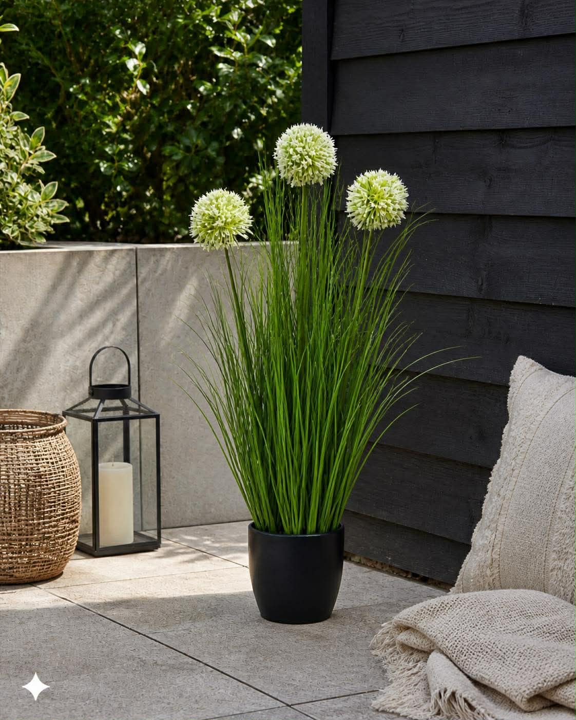 Gras und Alliumblumen im Topf