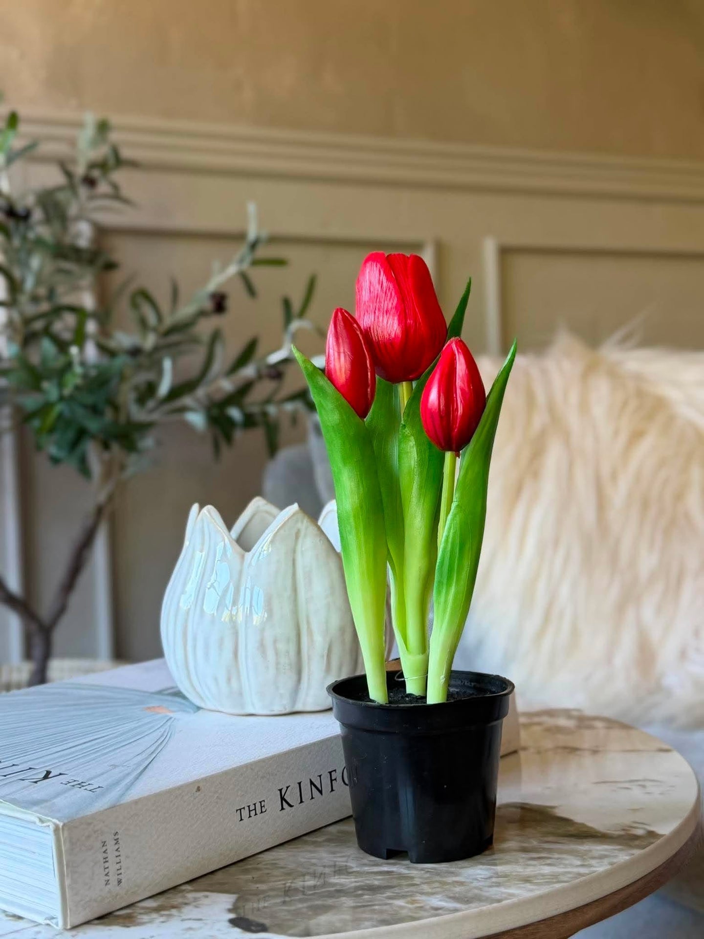 Tulpe im Topf - Rot mit 3 Blüten