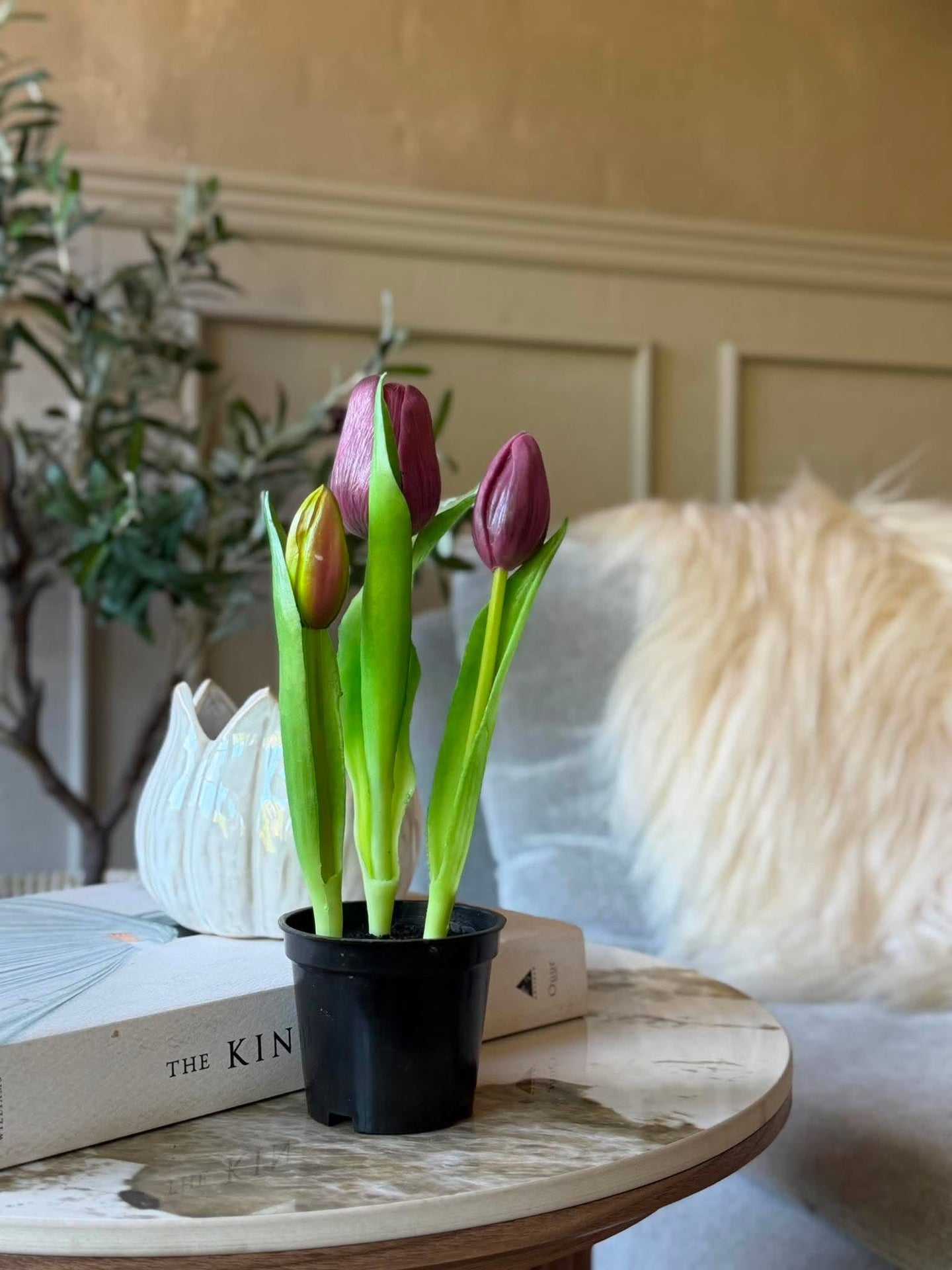Tulpe im Topf - Lila mit 3 Blüten