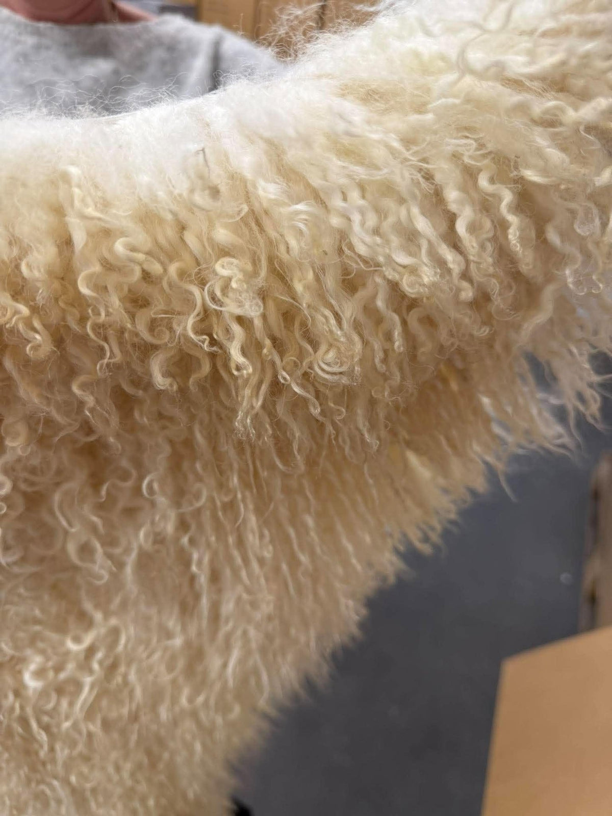 Lammeskind Curly - Naturhvid