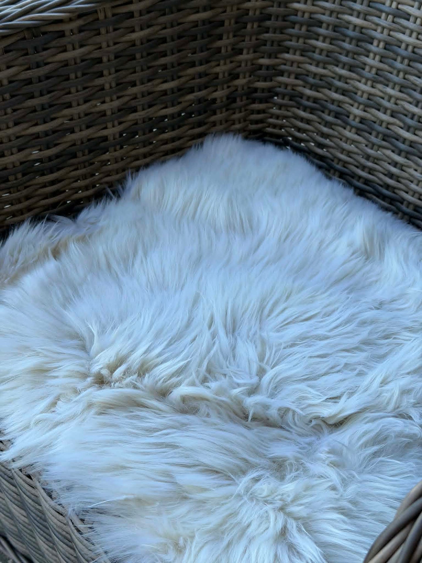 Sitzauflage - Linen 40x40