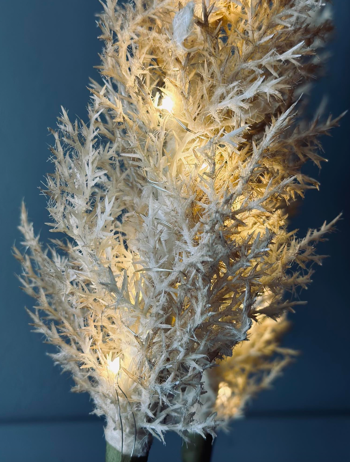 Pampas mit LED-Licht - 118 cm
