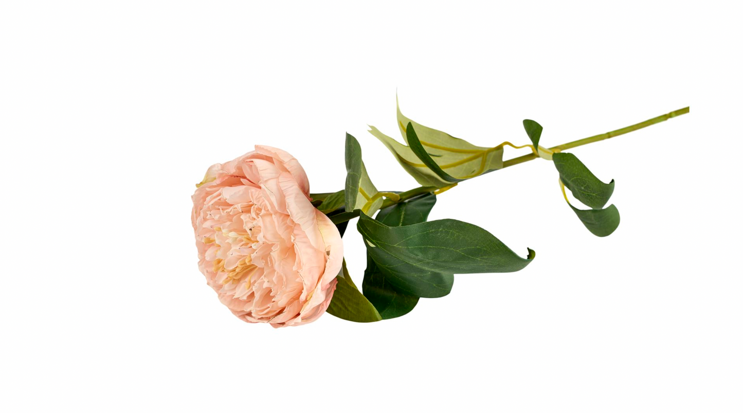 Blume Pfingstrose - Zartes Rosa 70 cm