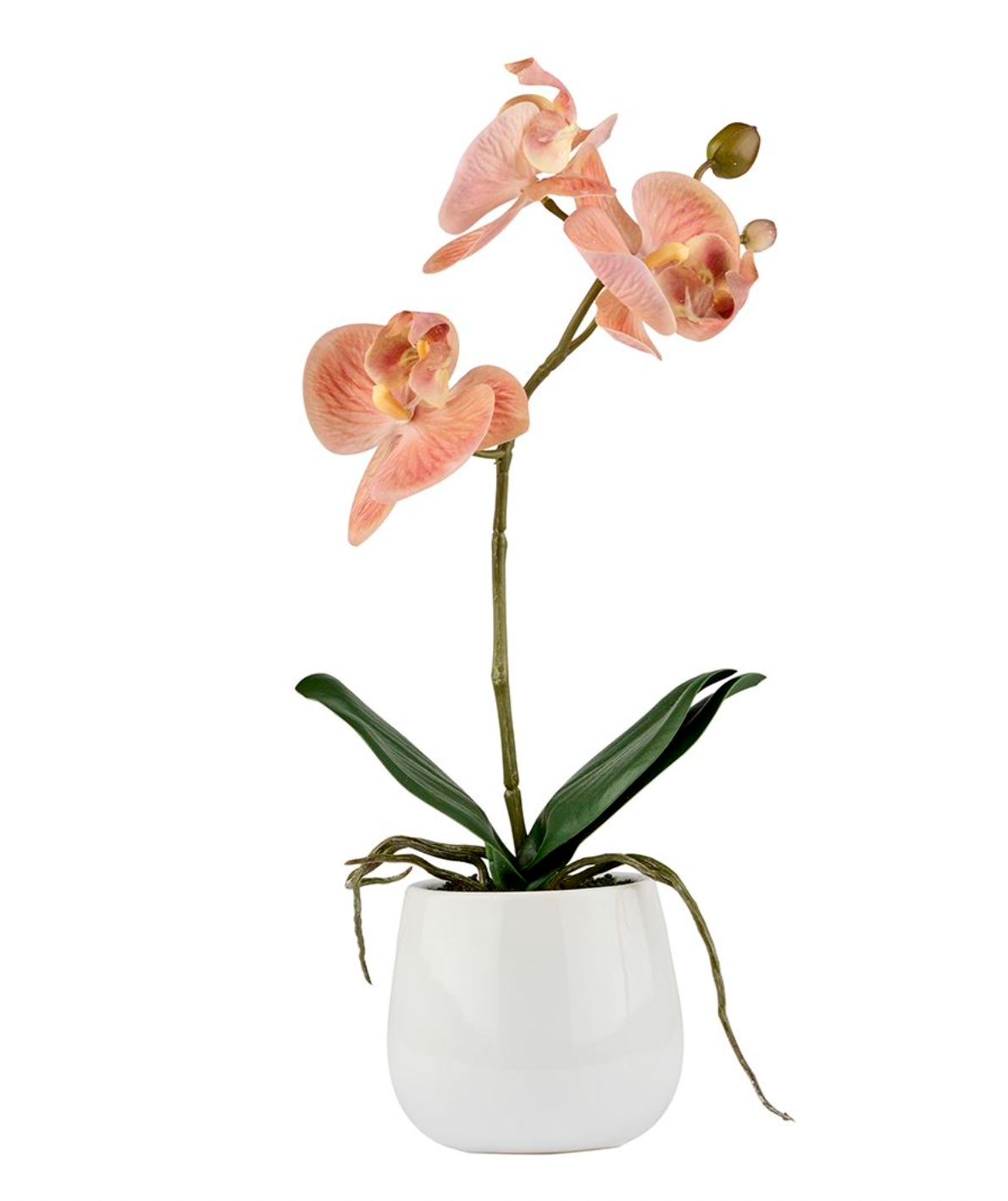 Orchidee im Topf - Rosa 36 cm