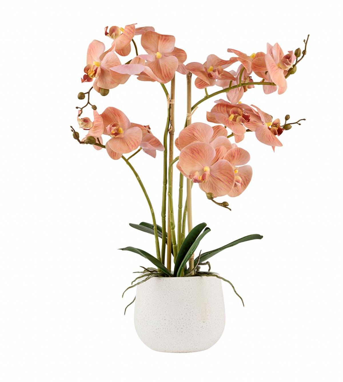 Orchidee im Topf - Rosa 50cm