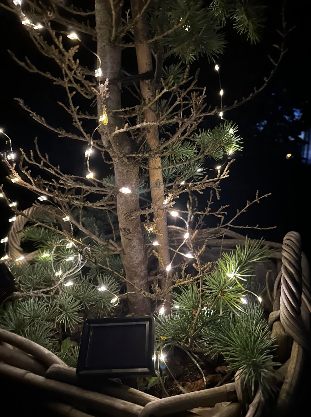 Lichterkette mit Solarzellen - 100 Lichter