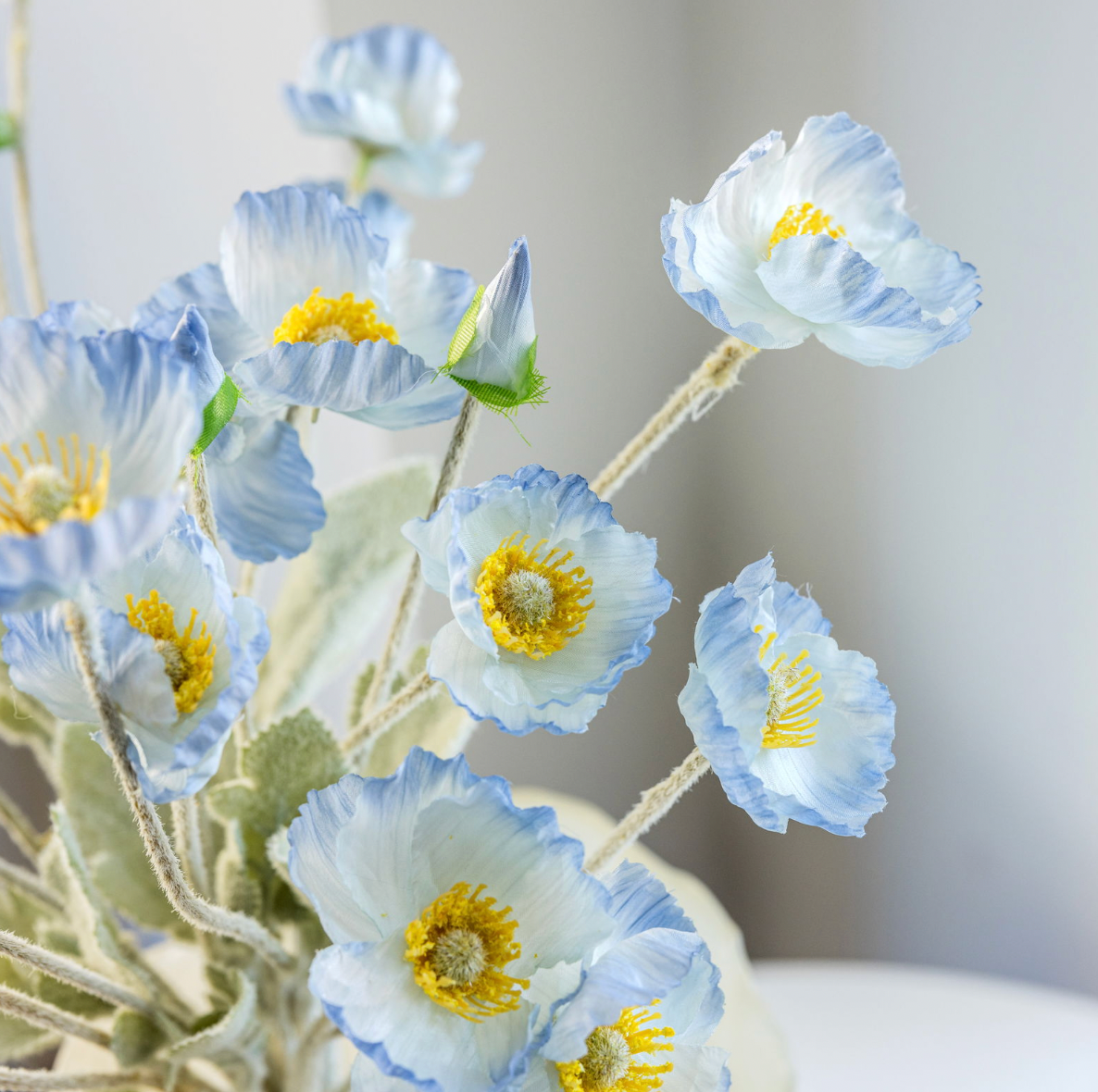 Strauß blaue Mohnblumen