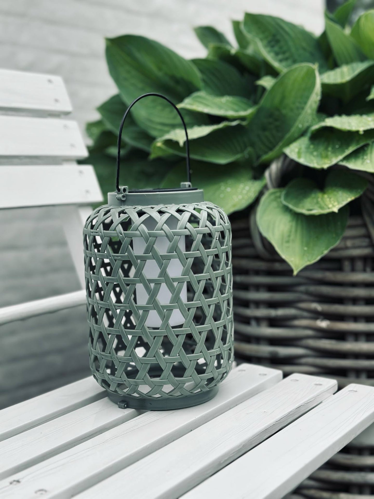 Laterne GINNY - Mehrere Farboptionen