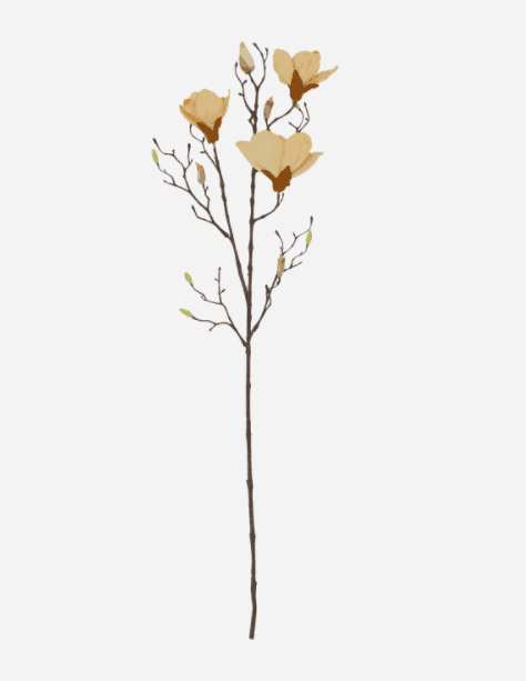 Blomst, Mangnolia, Råhvid - VIAMAJA