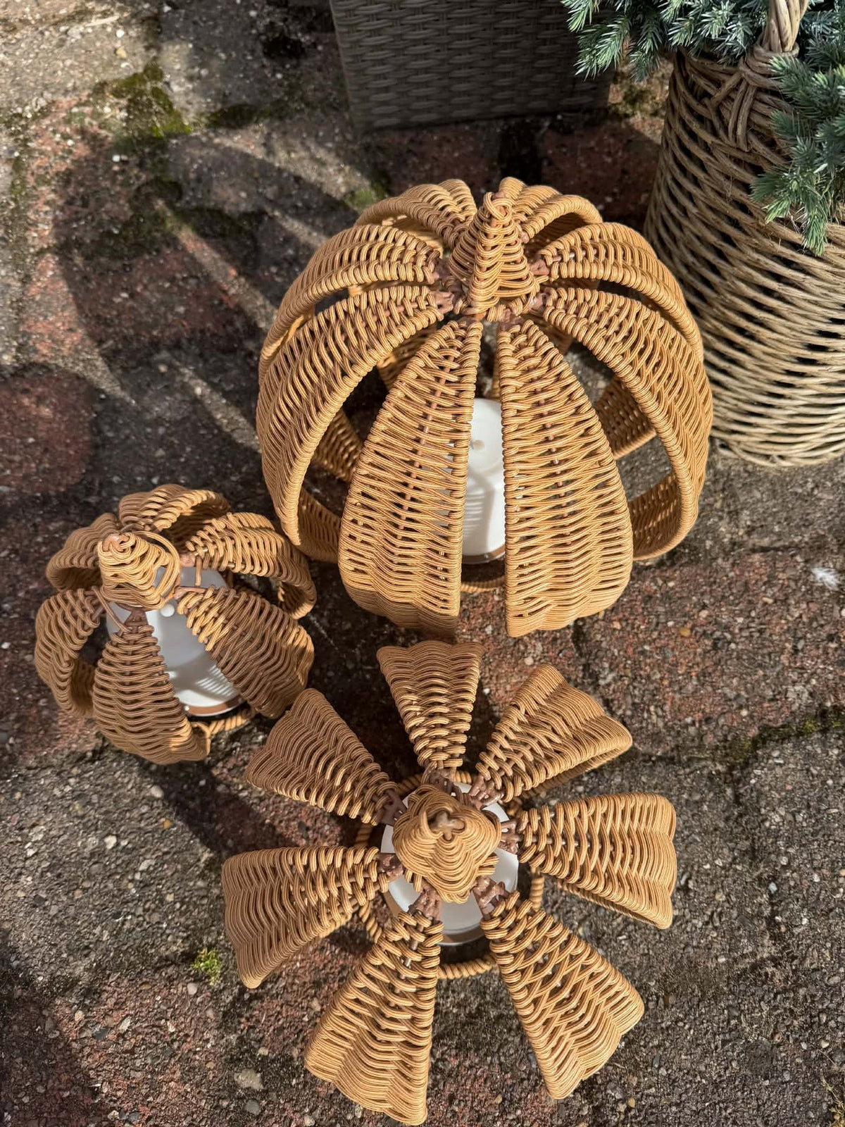 Kürbis mit Solar