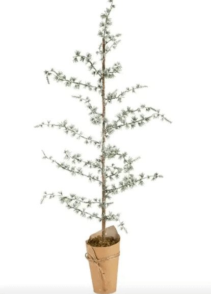 Cedertræ - 75cm - VIAMAJA