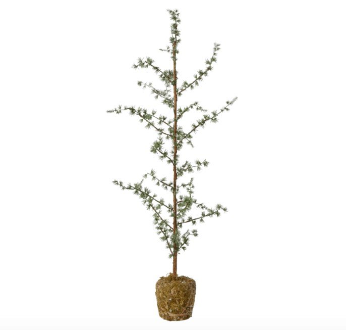 Cedertræ m/mos H75cm - VIAMAJA