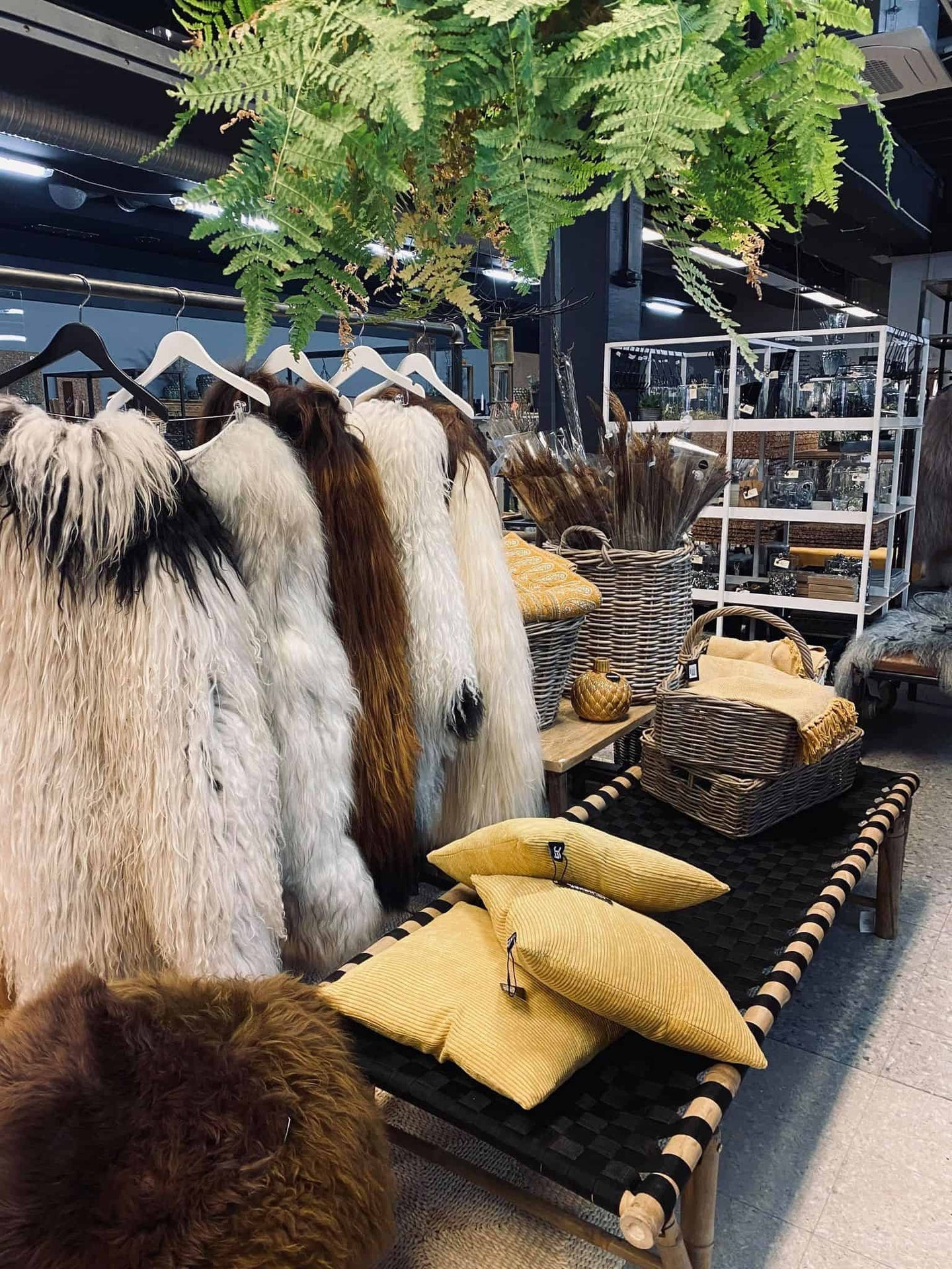 Daybed i bambus - Sort sæde - VIAMAJA.DK