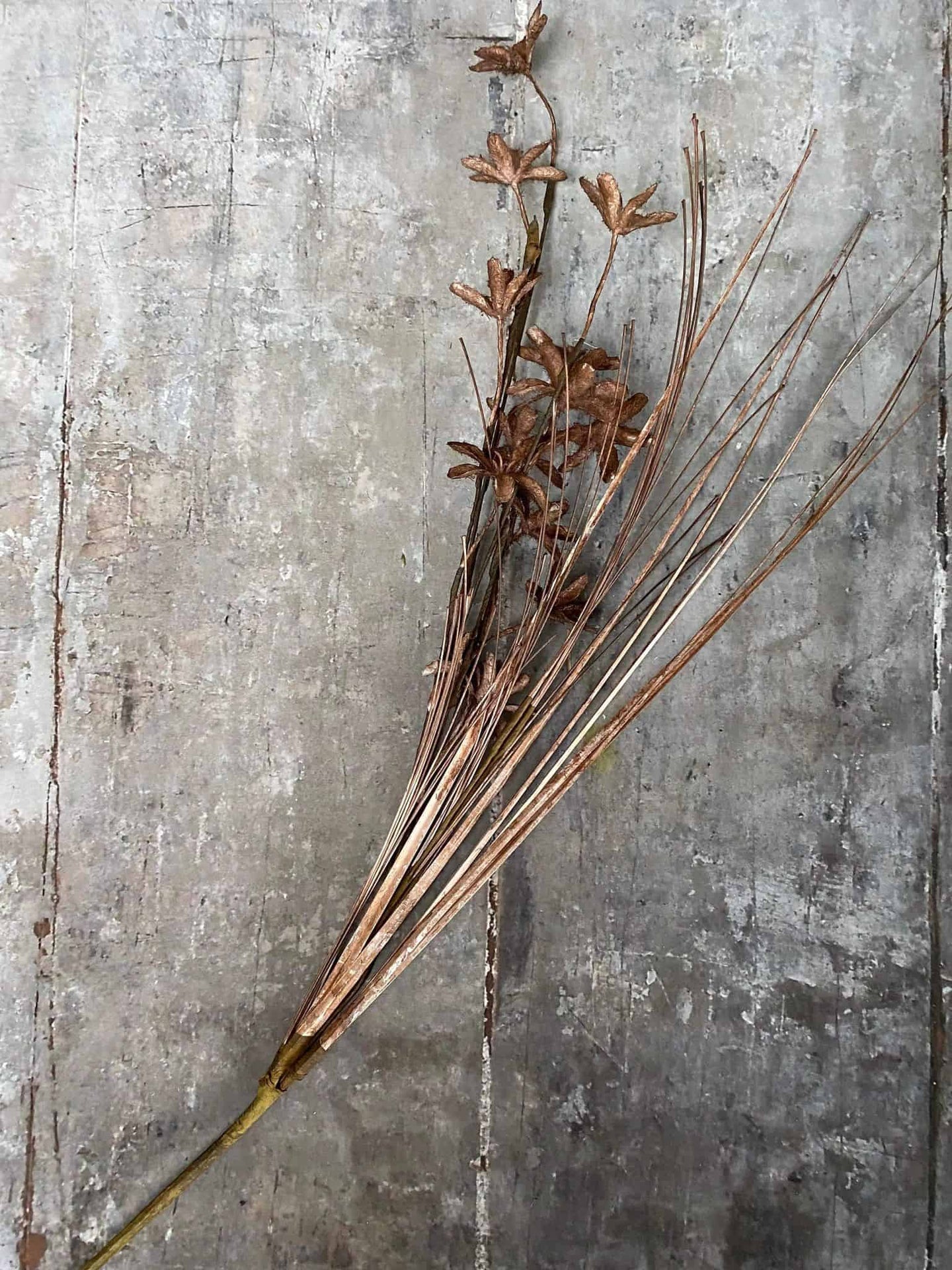 Evighedsblomst – Stilk 60cm Brun - VIAMAJA.DK