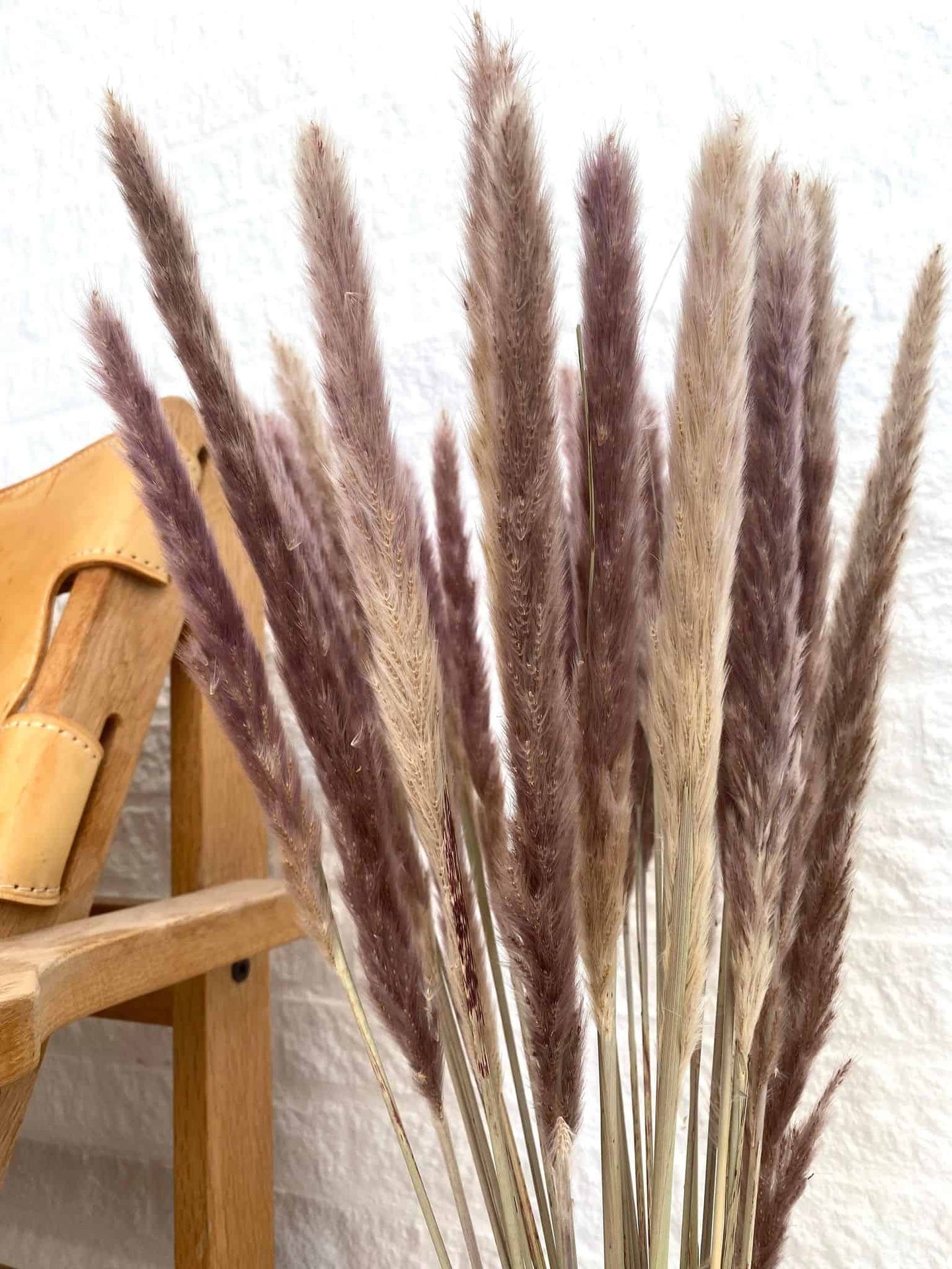 Evighedsbuket - Silver grass Plume natural - VIAMAJA.DK