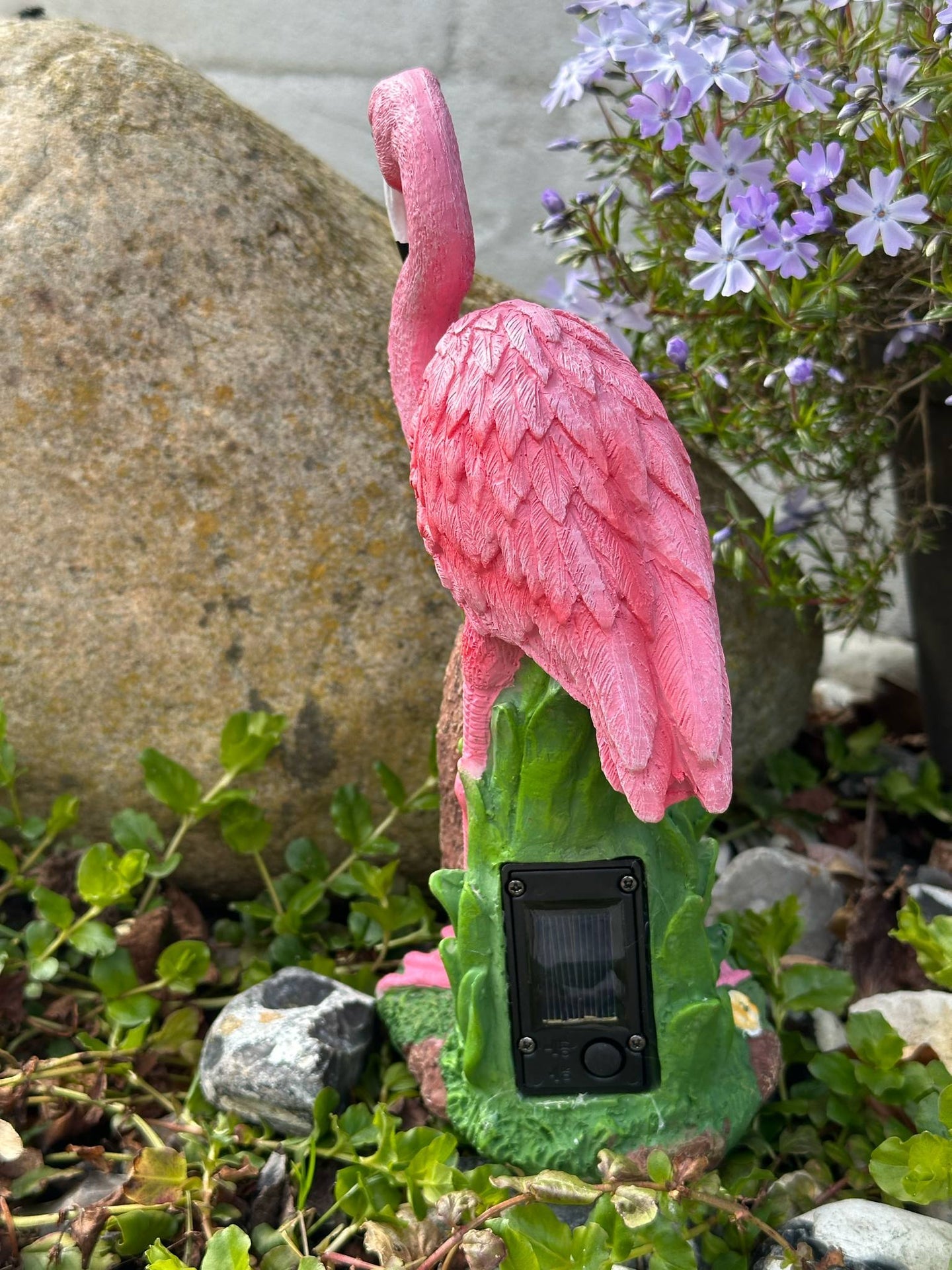 Flamingo mit Solar