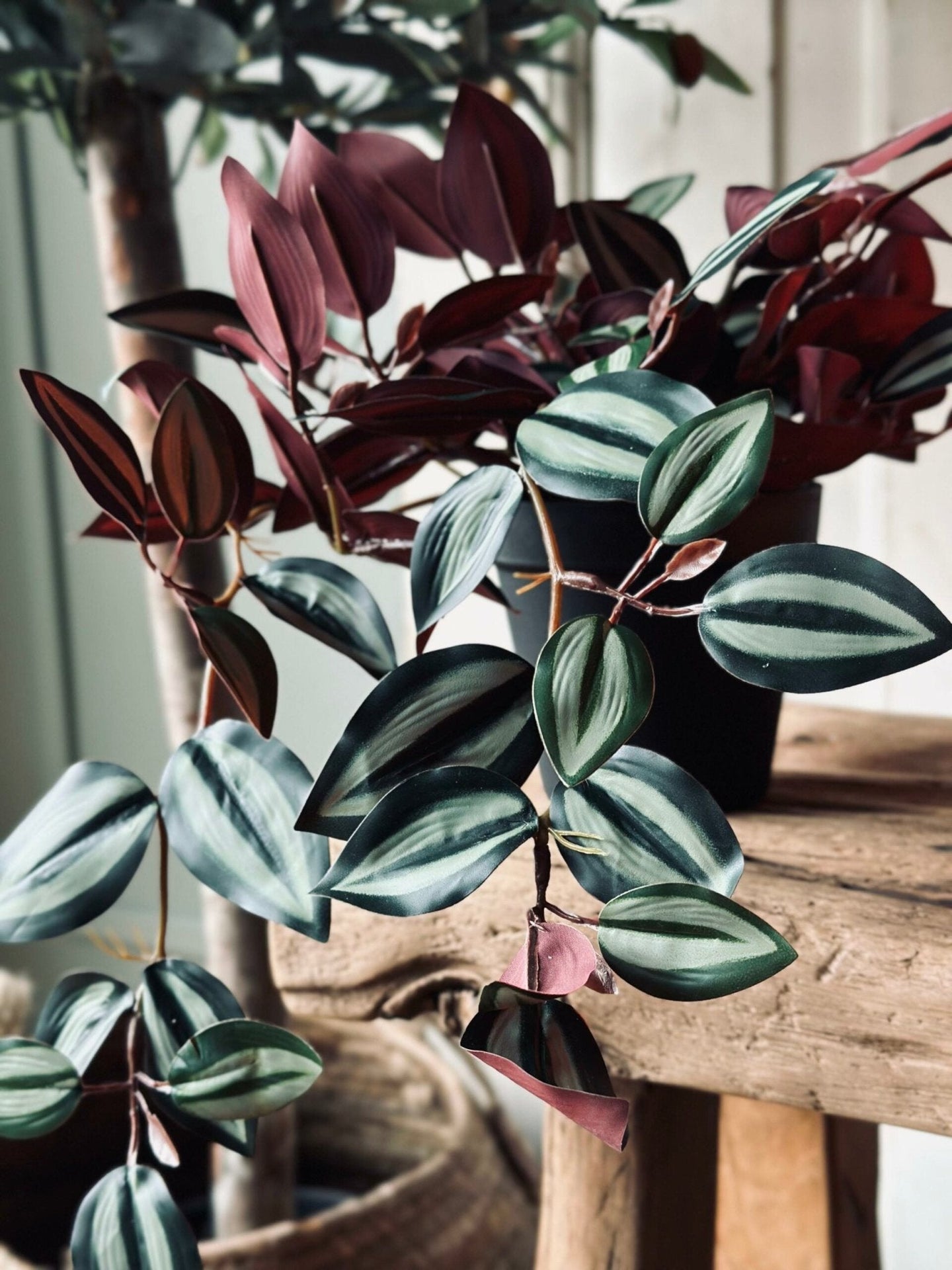 Hængeplante – Green No.3 - VIAMAJA.DK