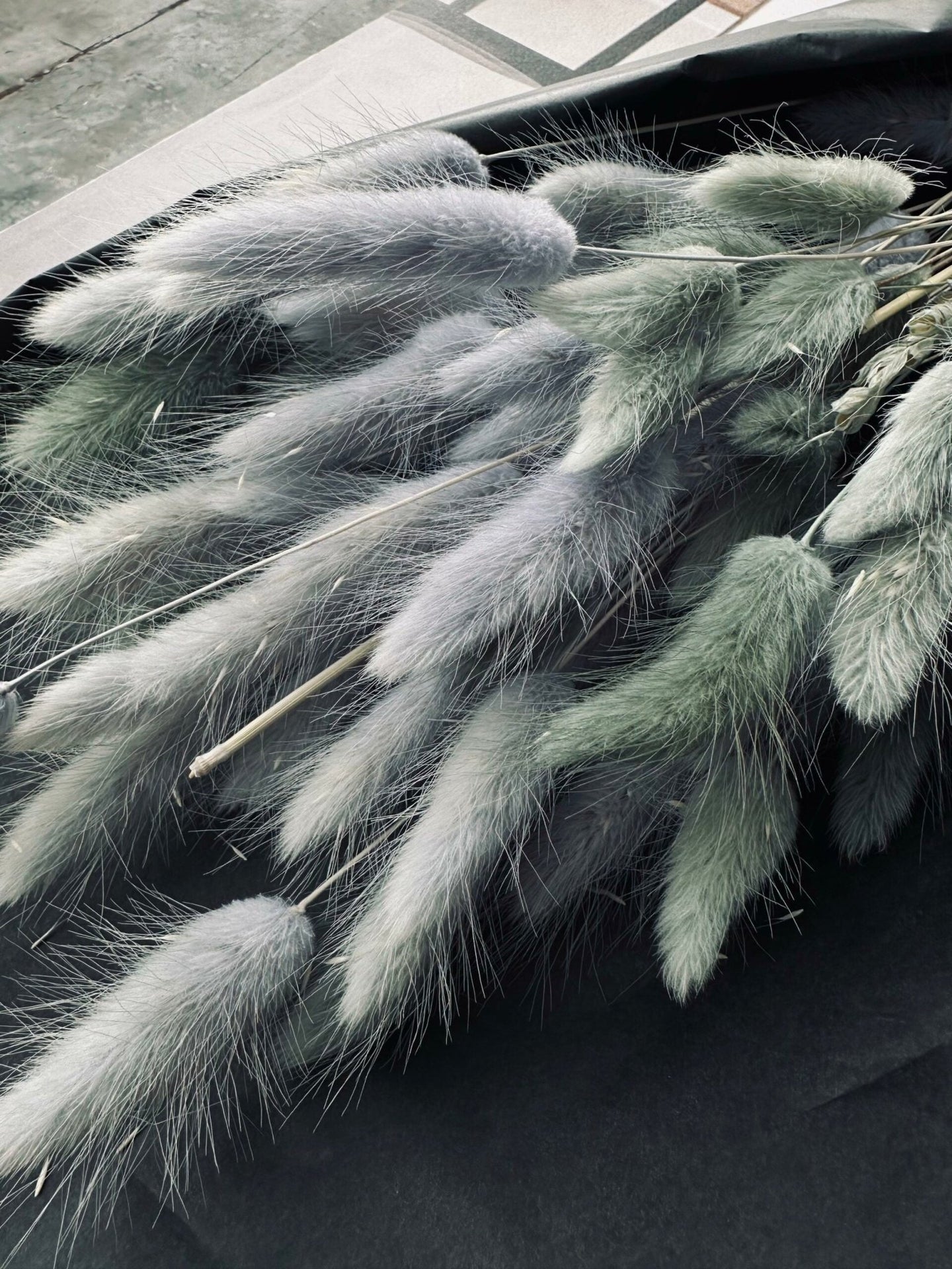 Lagurus – grey mist - VIAMAJA.DK