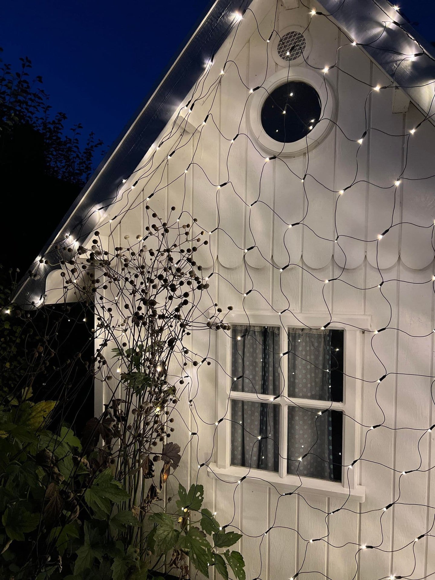lichternetz aufbewahren LED-Lichternetz mit 480 Lichtern