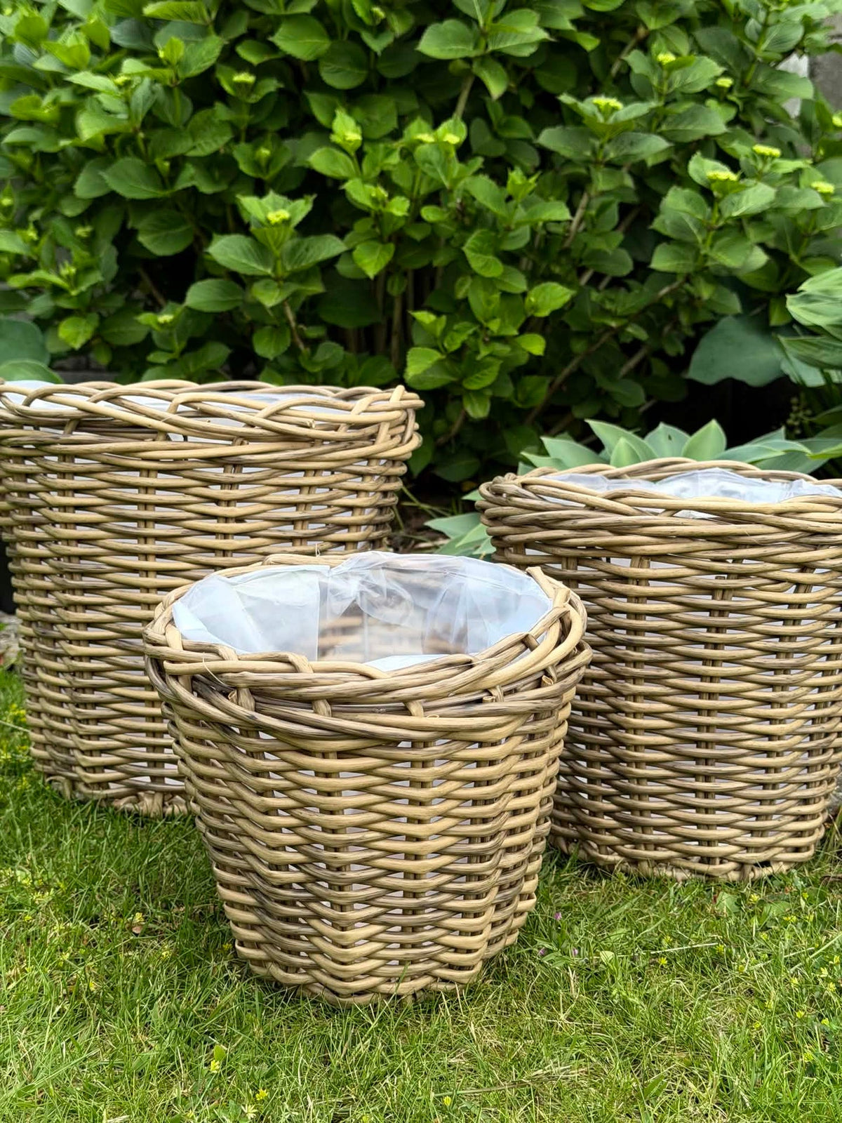 Pflanzenkörbe naturfarben - 3 Stk.