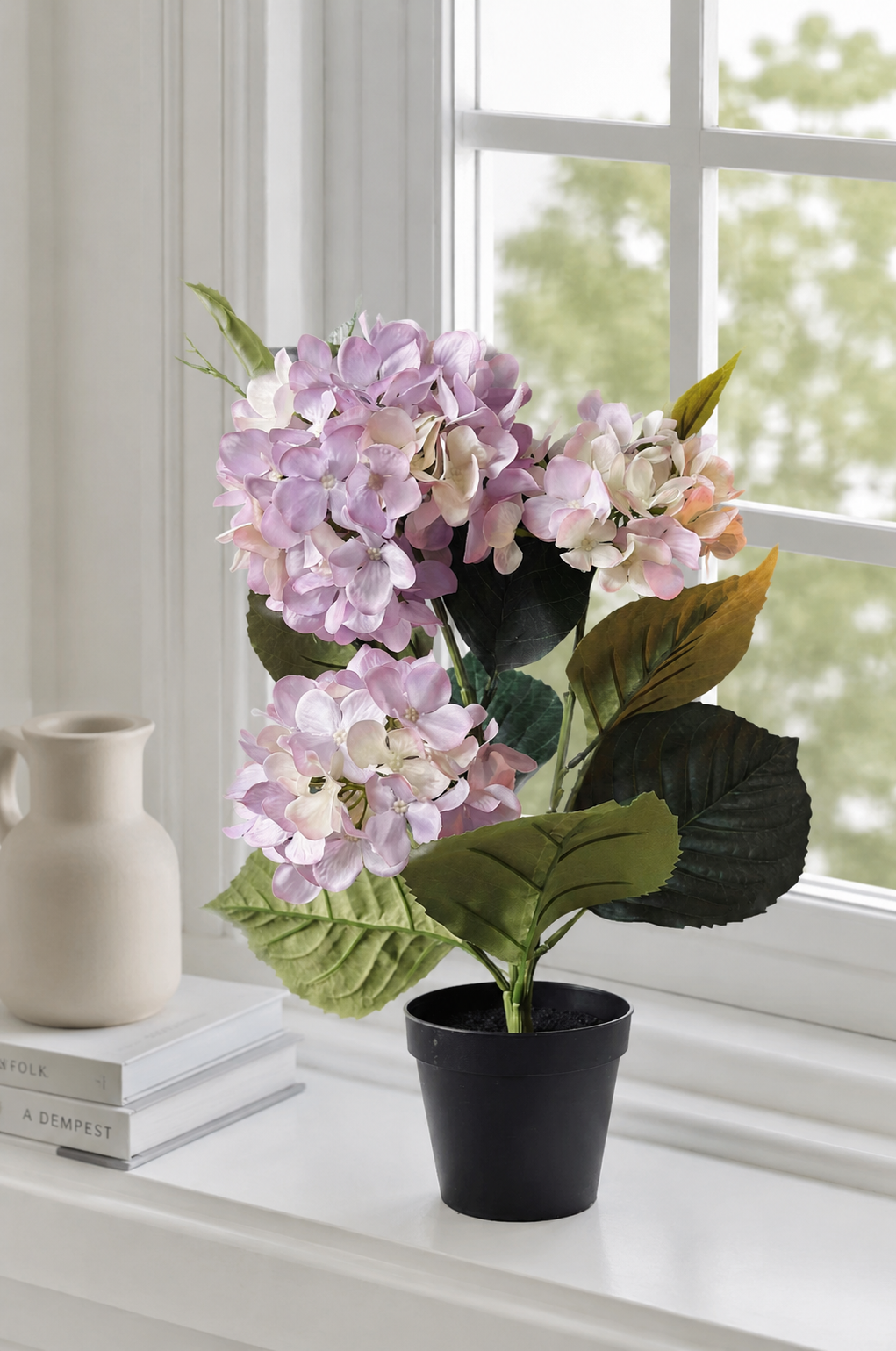 Hortensie i potte - Flieder