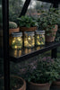 Mini-Laterne mit Solar - MIX