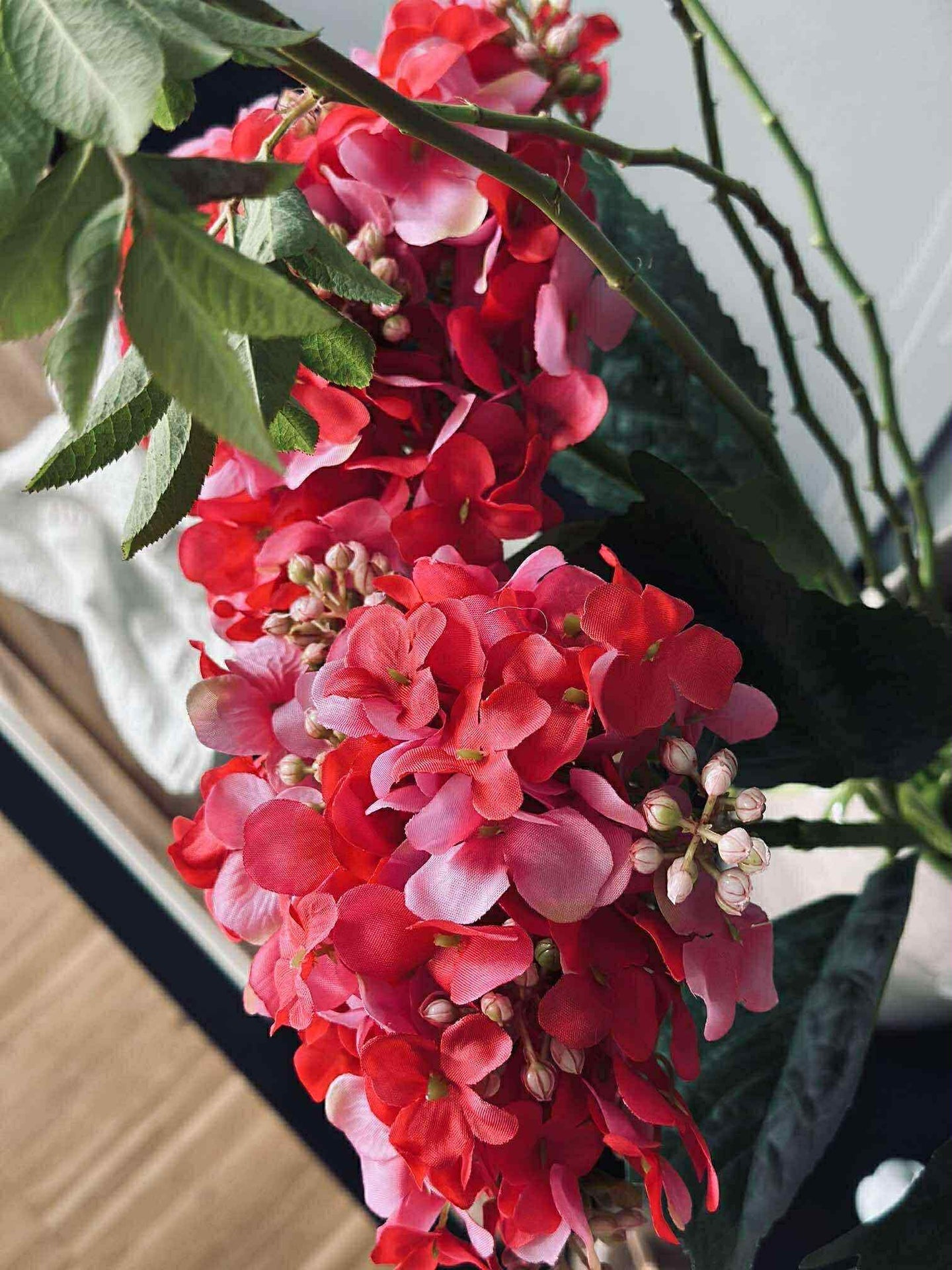 Hortensie Pink
