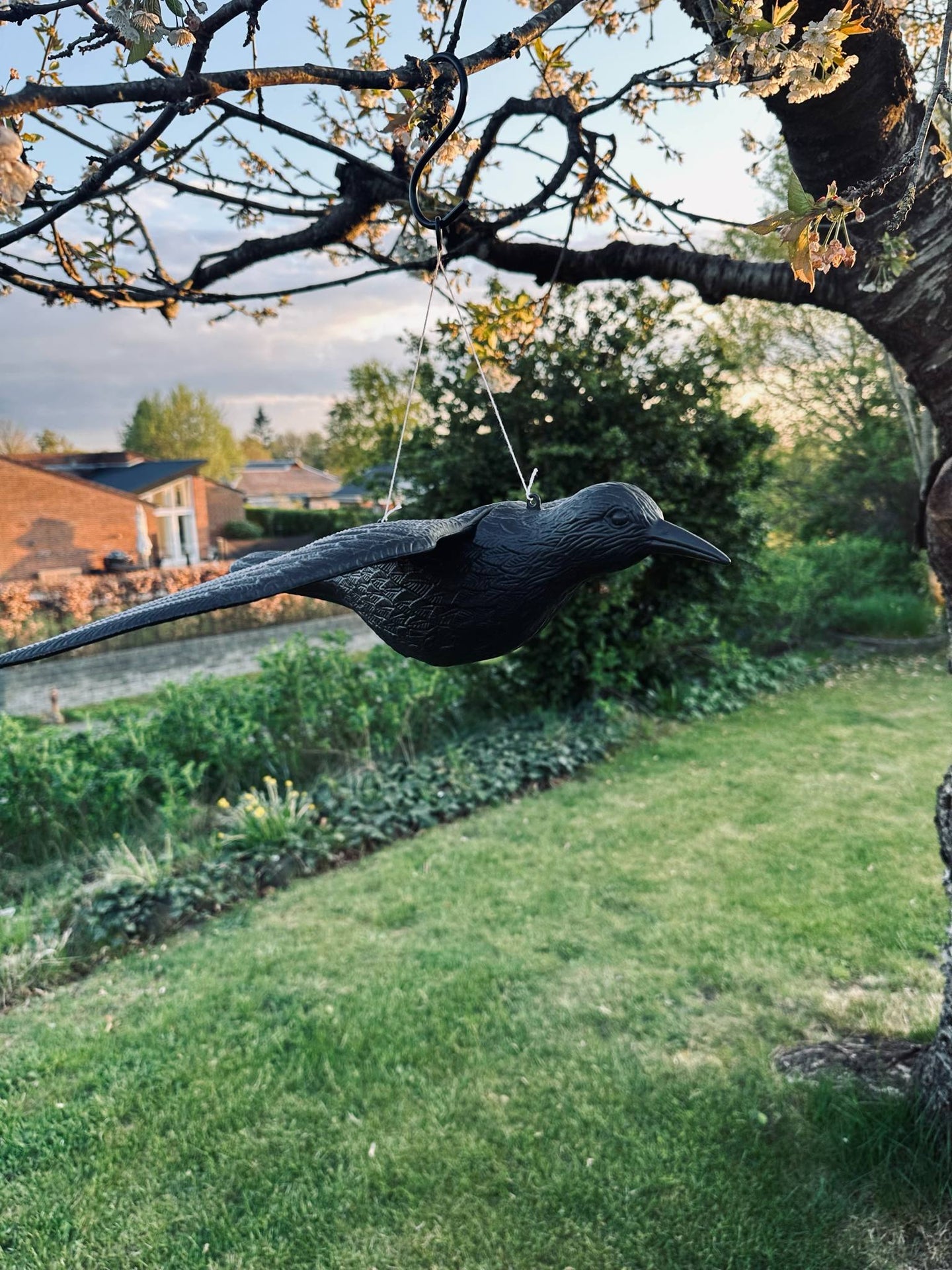 Vogel - RAVEN BLACK