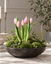 Tulpe im Topf - Rosa