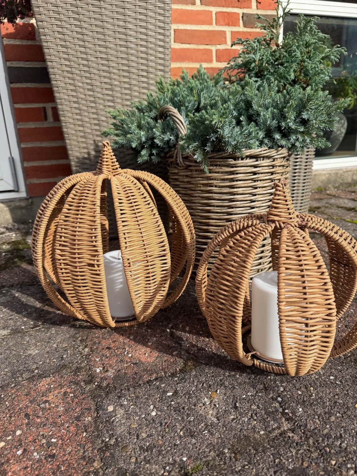 Kürbis mit Solar