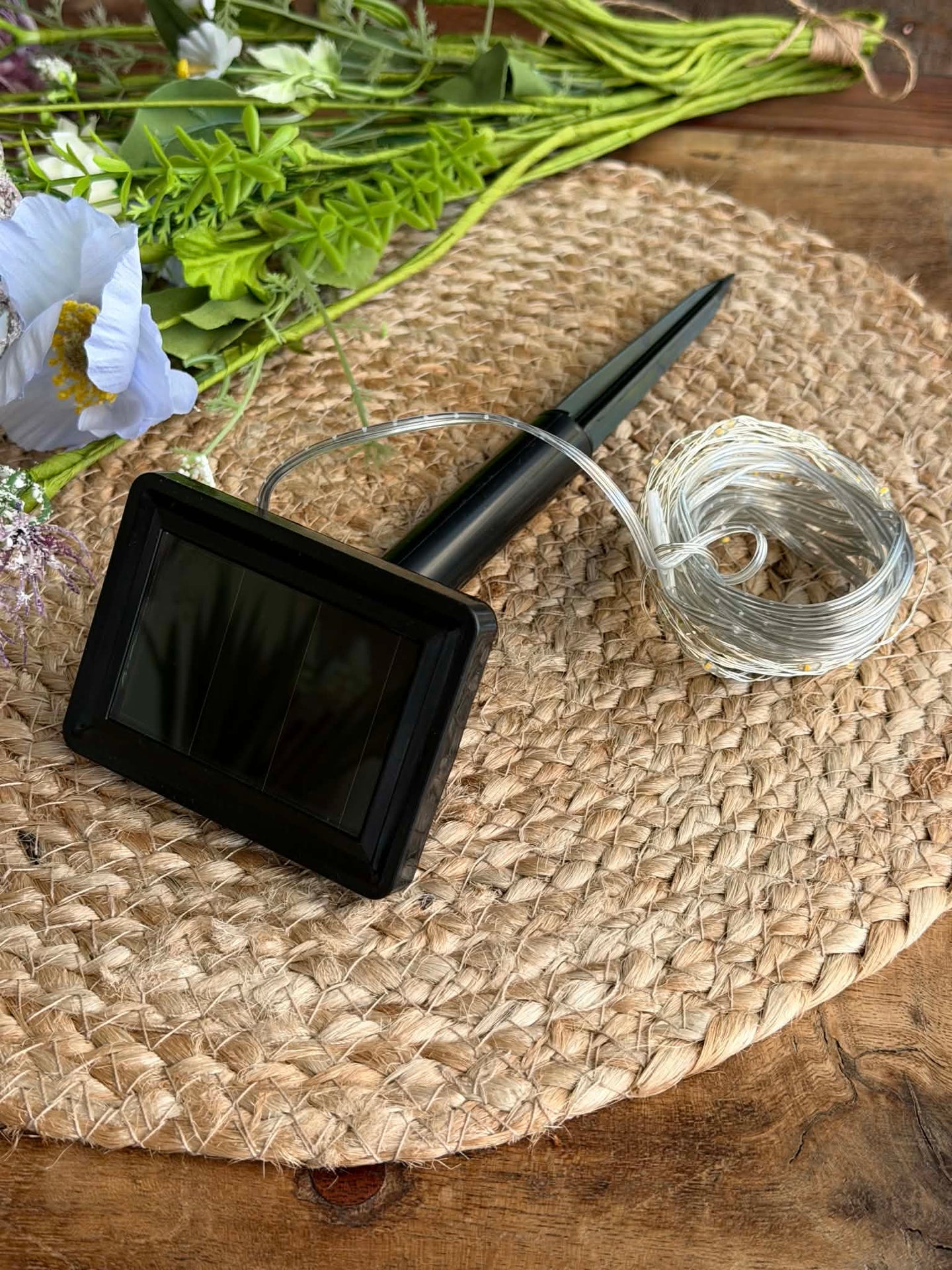 Lichterkette Marly mit Solar - 100 Lichter